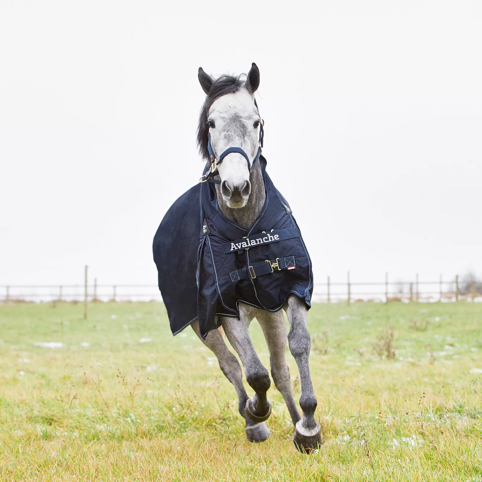 * Avalanche 1200D Paardendeken Hoge Hals, Medium 150 Grams- Regendekens