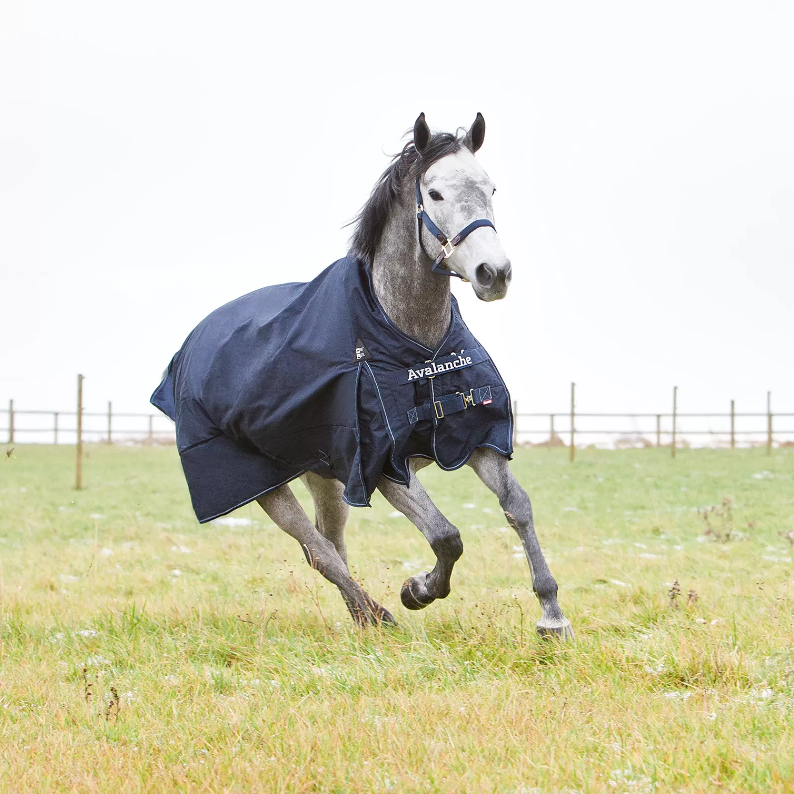 * Avalanche 1200D Paardendeken, Zwaar 300 Grams- Winterdekens