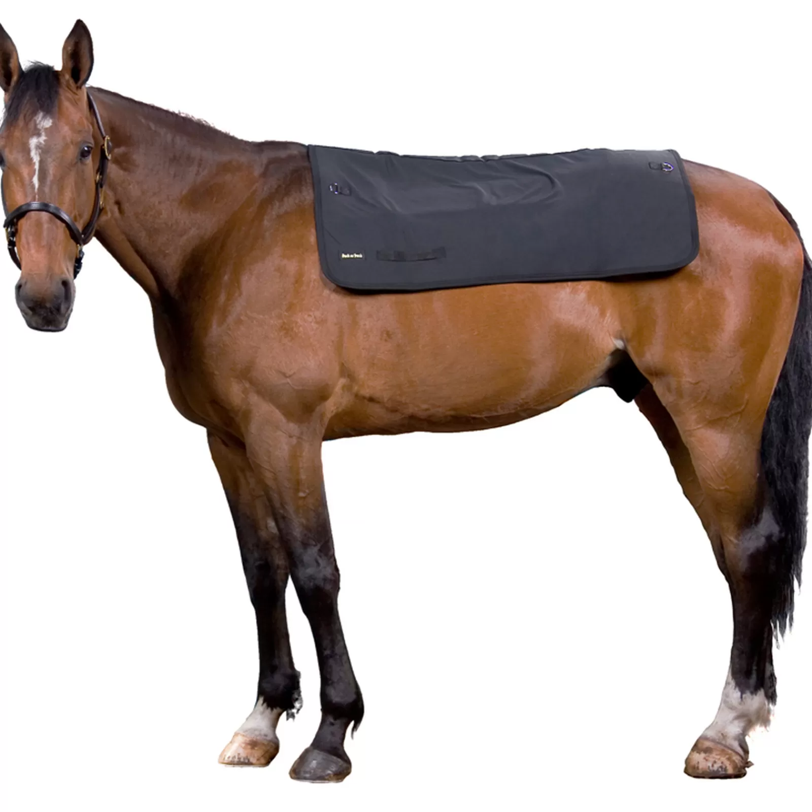 Hot backontrack Back On Track Rugverwarmer Voor Paard, 100 X 120 Black