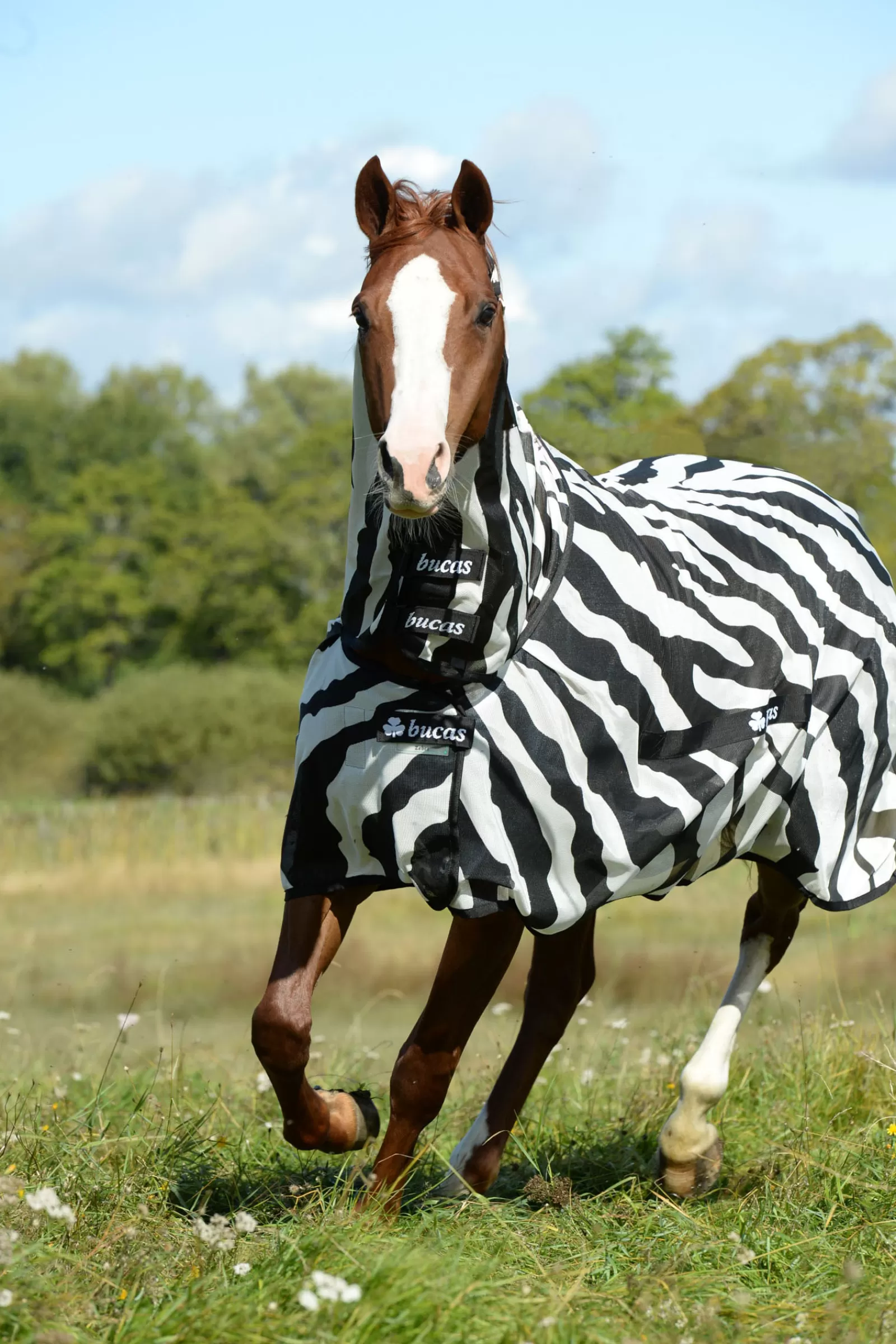 bucas Buzz-Off Zebra Deken Met Vaste Hals- Vliegendekens