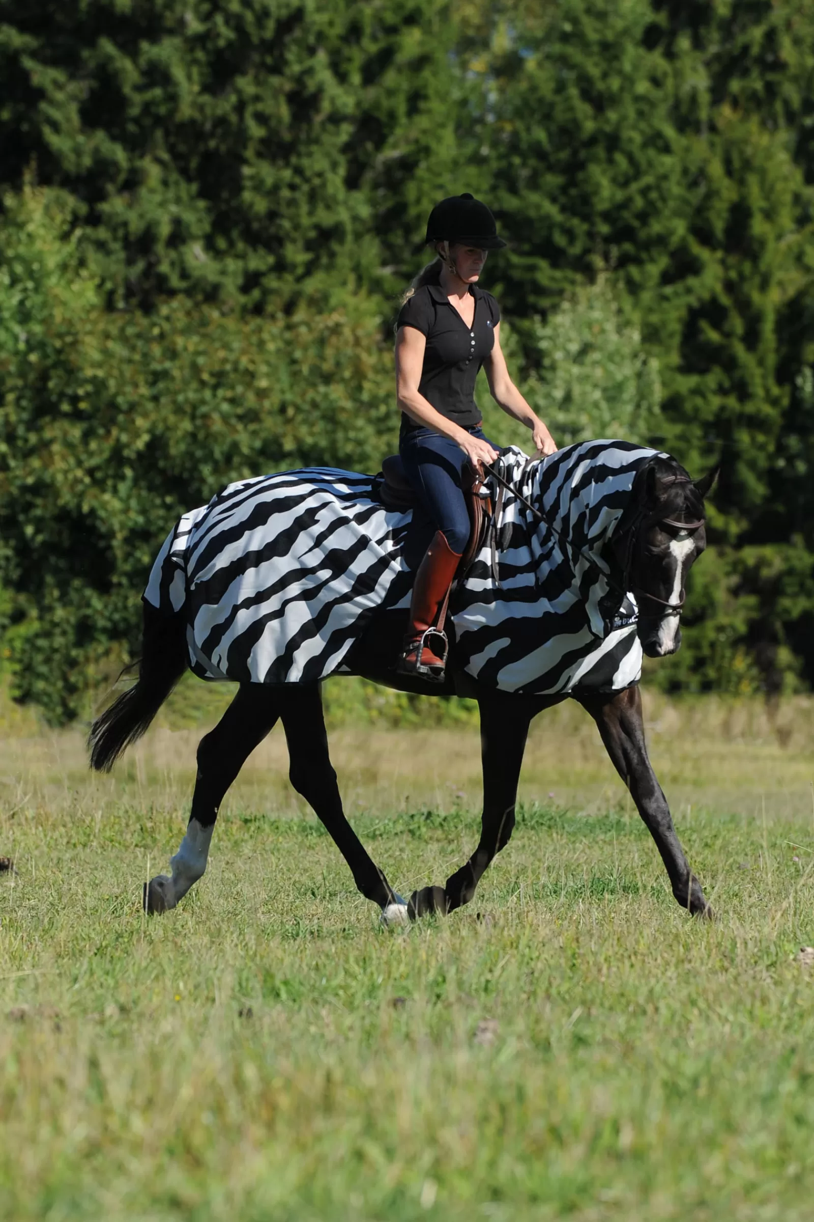 bucas Buzz-Off Zebra Rijdeken- Vliegendekens