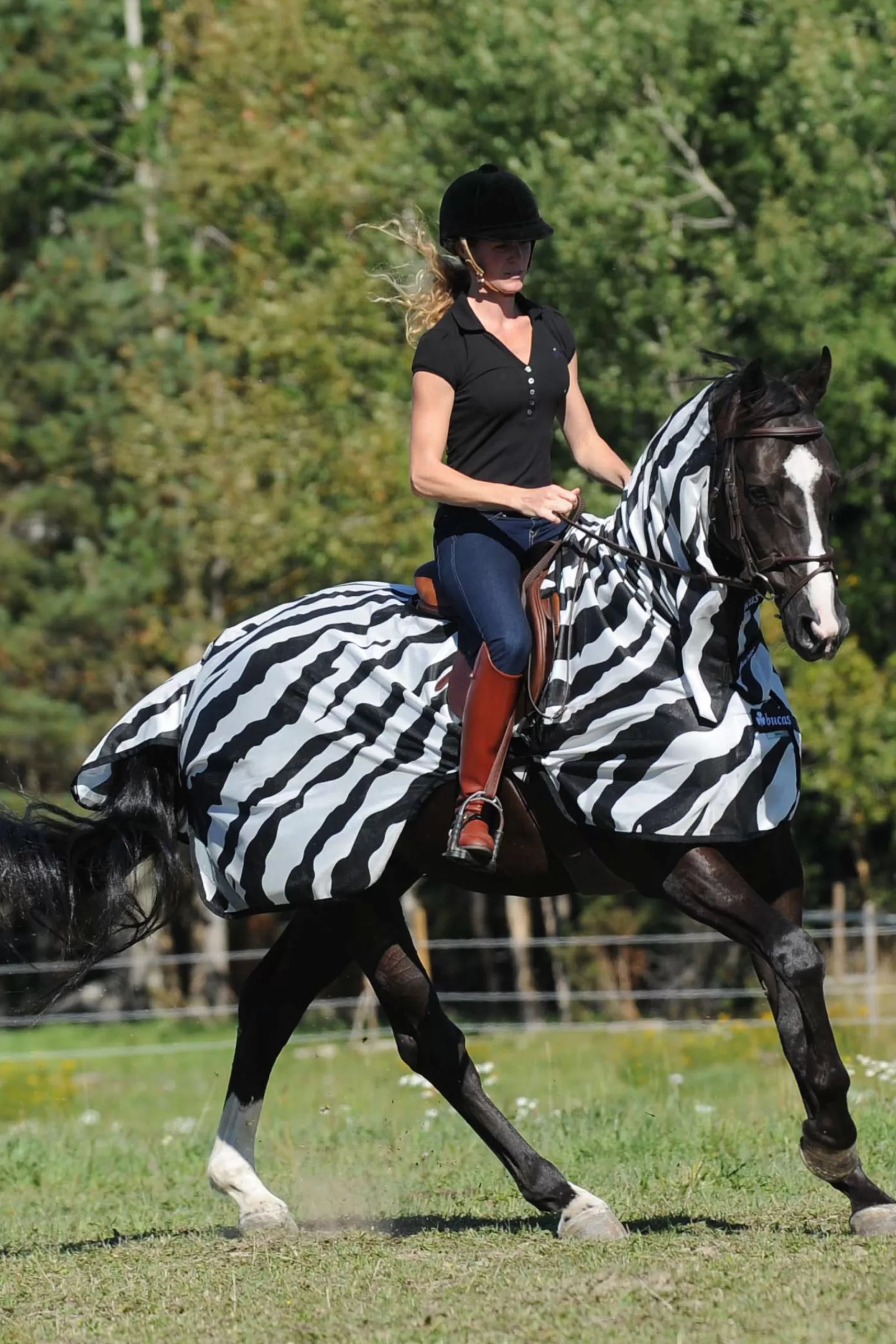 bucas Buzz-Off Zebra Rijdeken- Vliegendekens