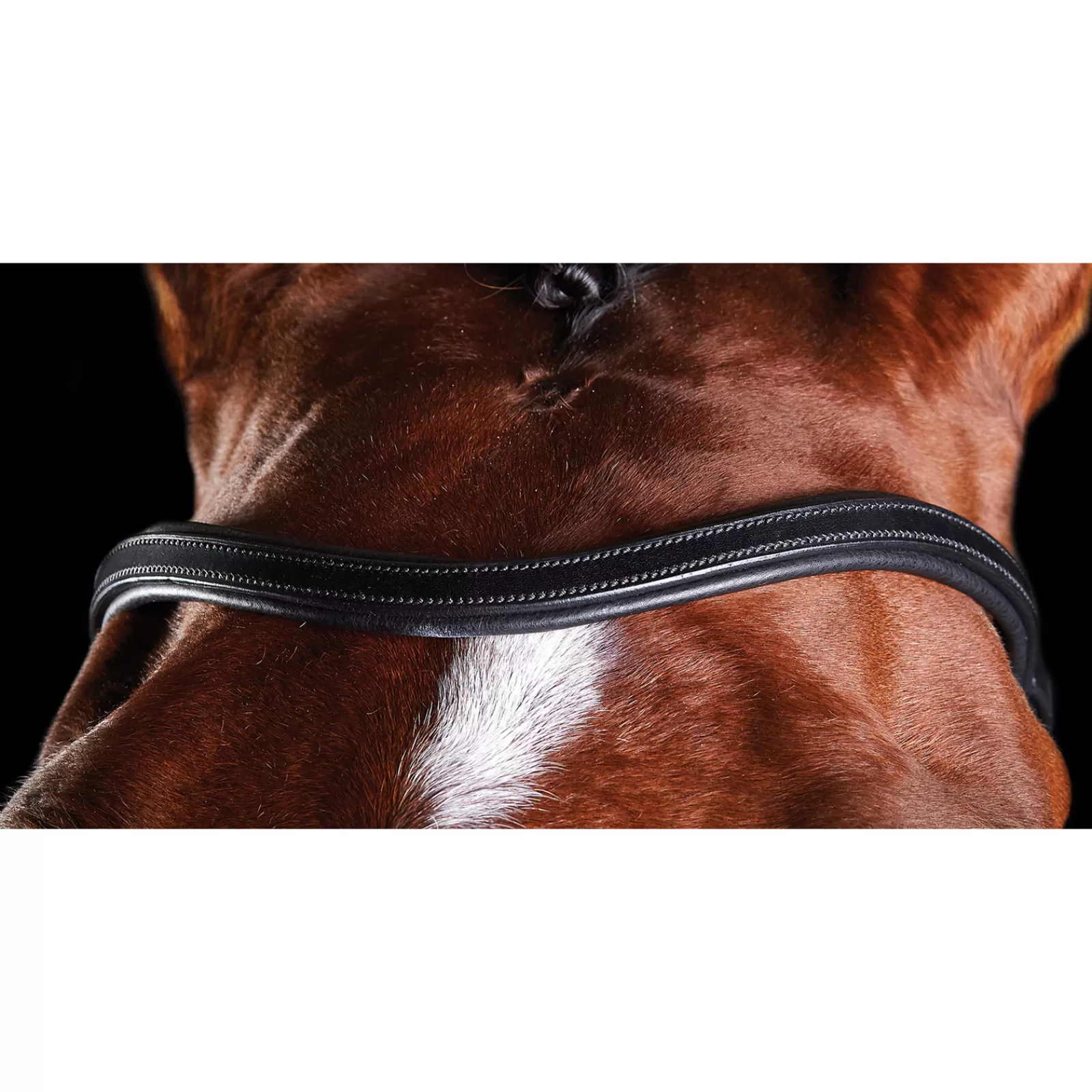 Shop collegiate Comfitec Training Hoofdstel Black