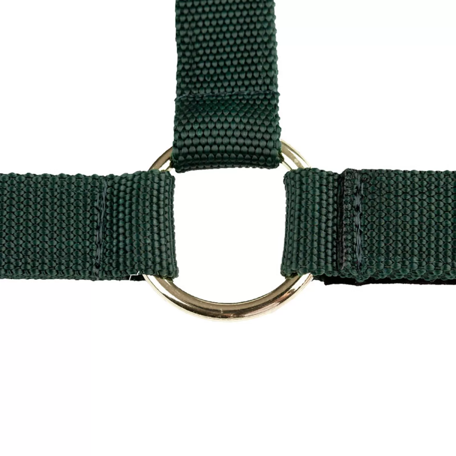 finntack Pro Nylon Halter With Open Nose- Halsters