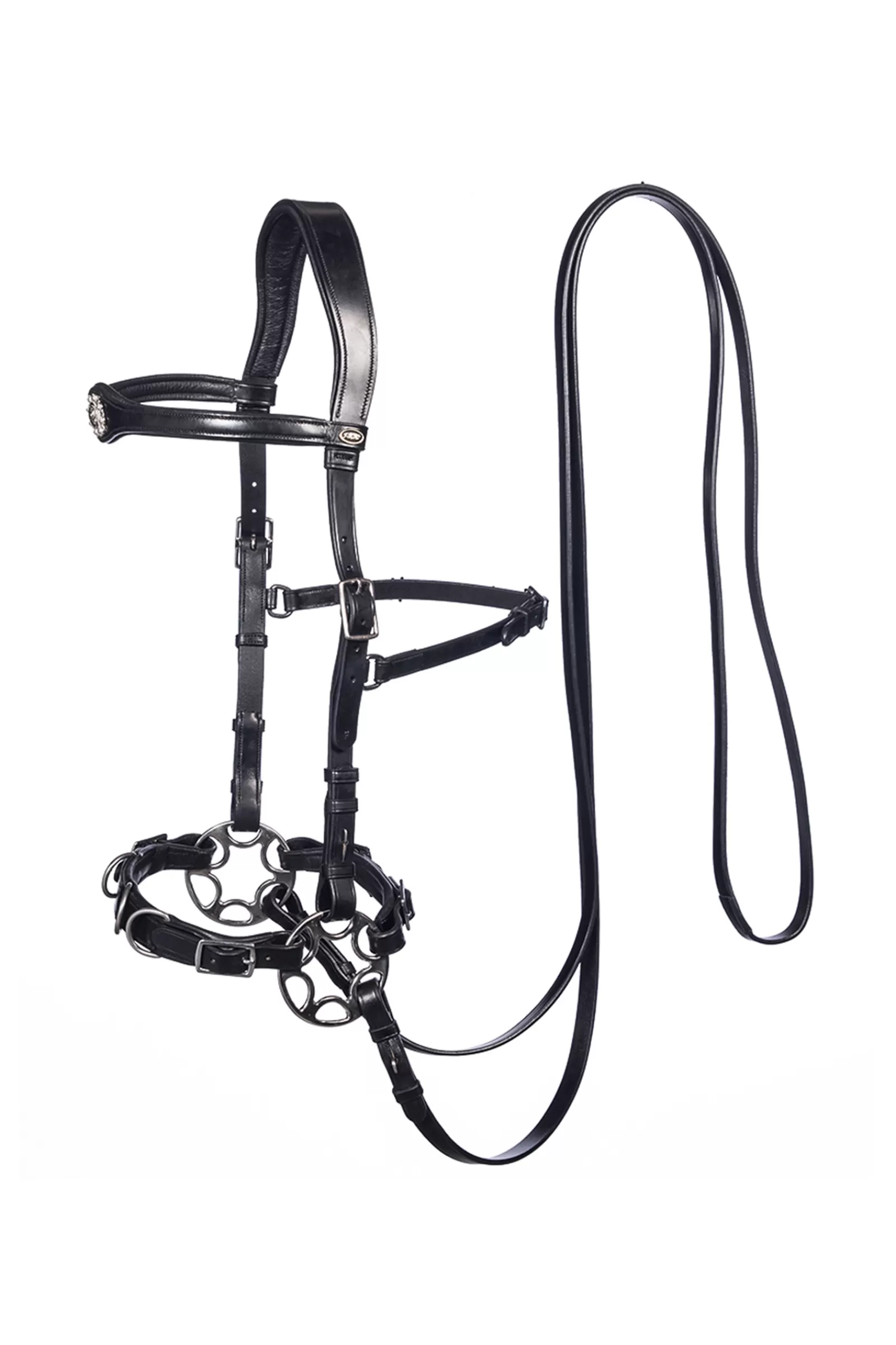 Clearance fra Caval Compl. Kaptoom Hoofdstel (System 2) Met Scharen & Teugels Black