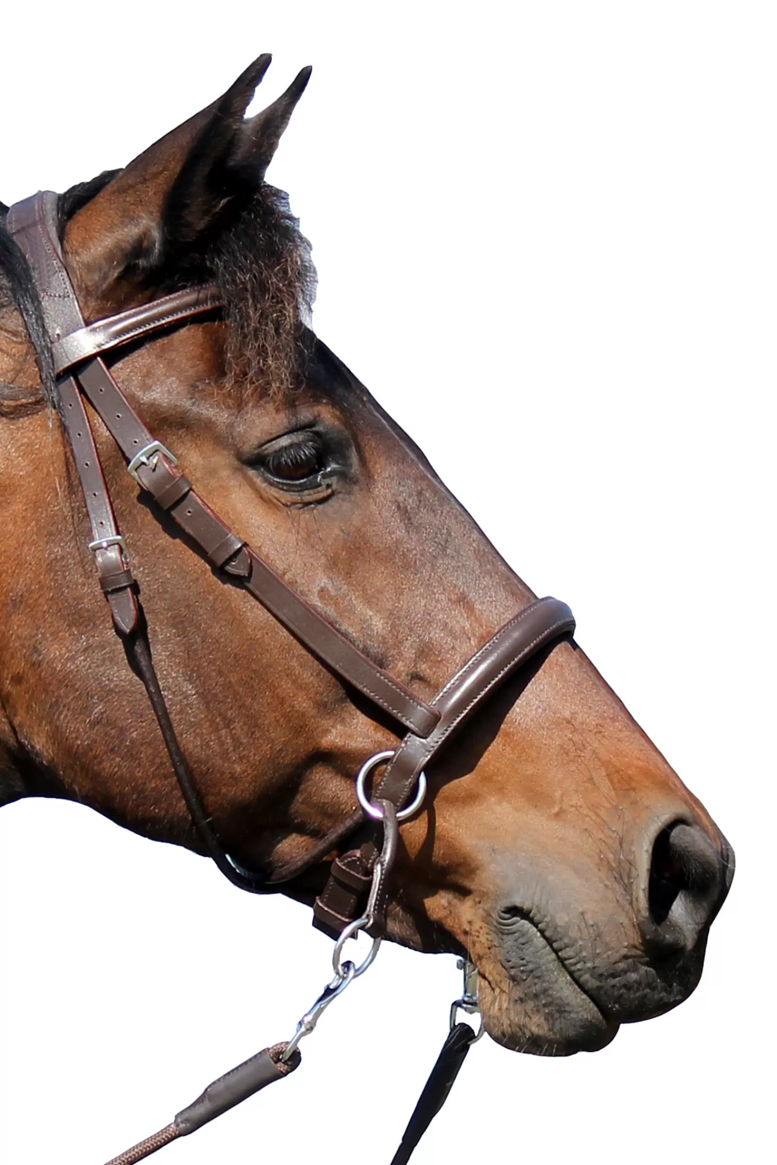 New fra F.R.A. El Camin Bitloos Hoofdstel (System 5), Met Zachte Teugels Brown