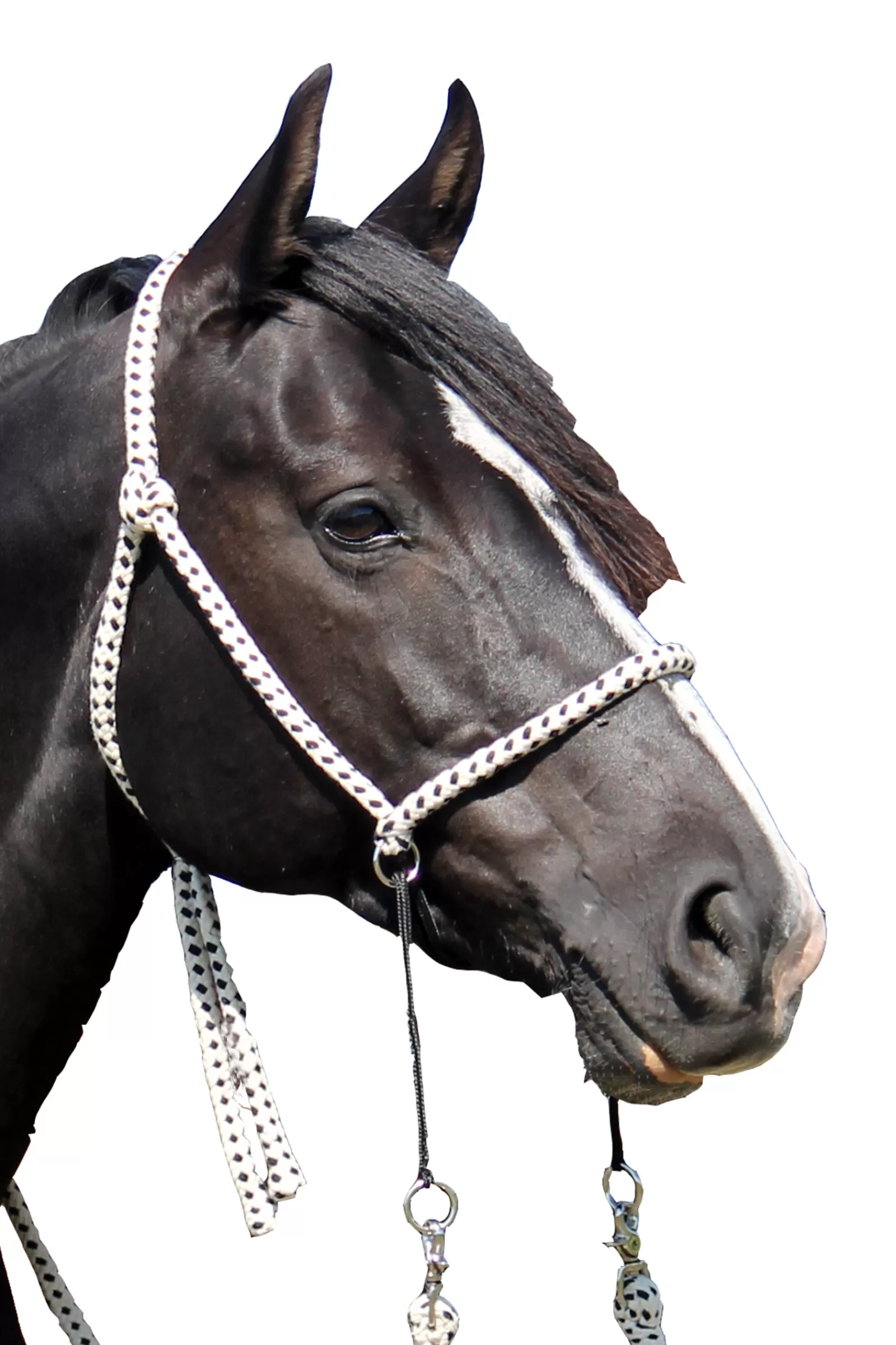 Store fra F.R.A. Nanouk Bitloos Hoofdstel (System 4) Katoen Met Clip Teugels Natural/Black