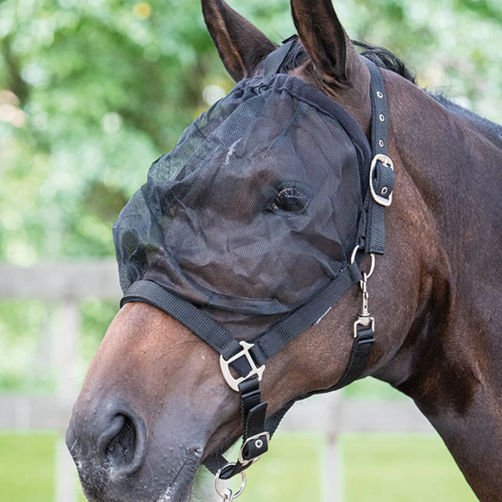 harryshorse Harry'S Horse Fly Mask Headcollar- Halsters