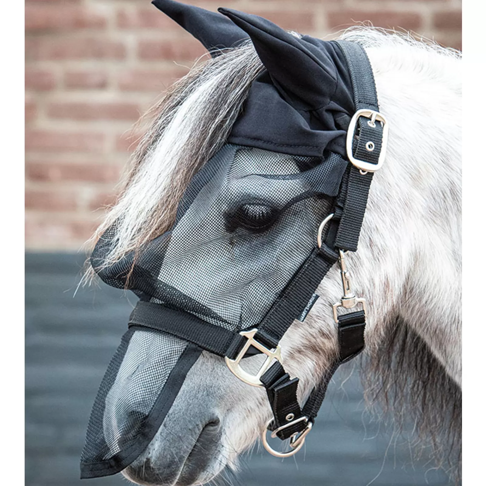 harryshorse Harry'S Horse Fly Mask Headcollar With Ears- Halsters