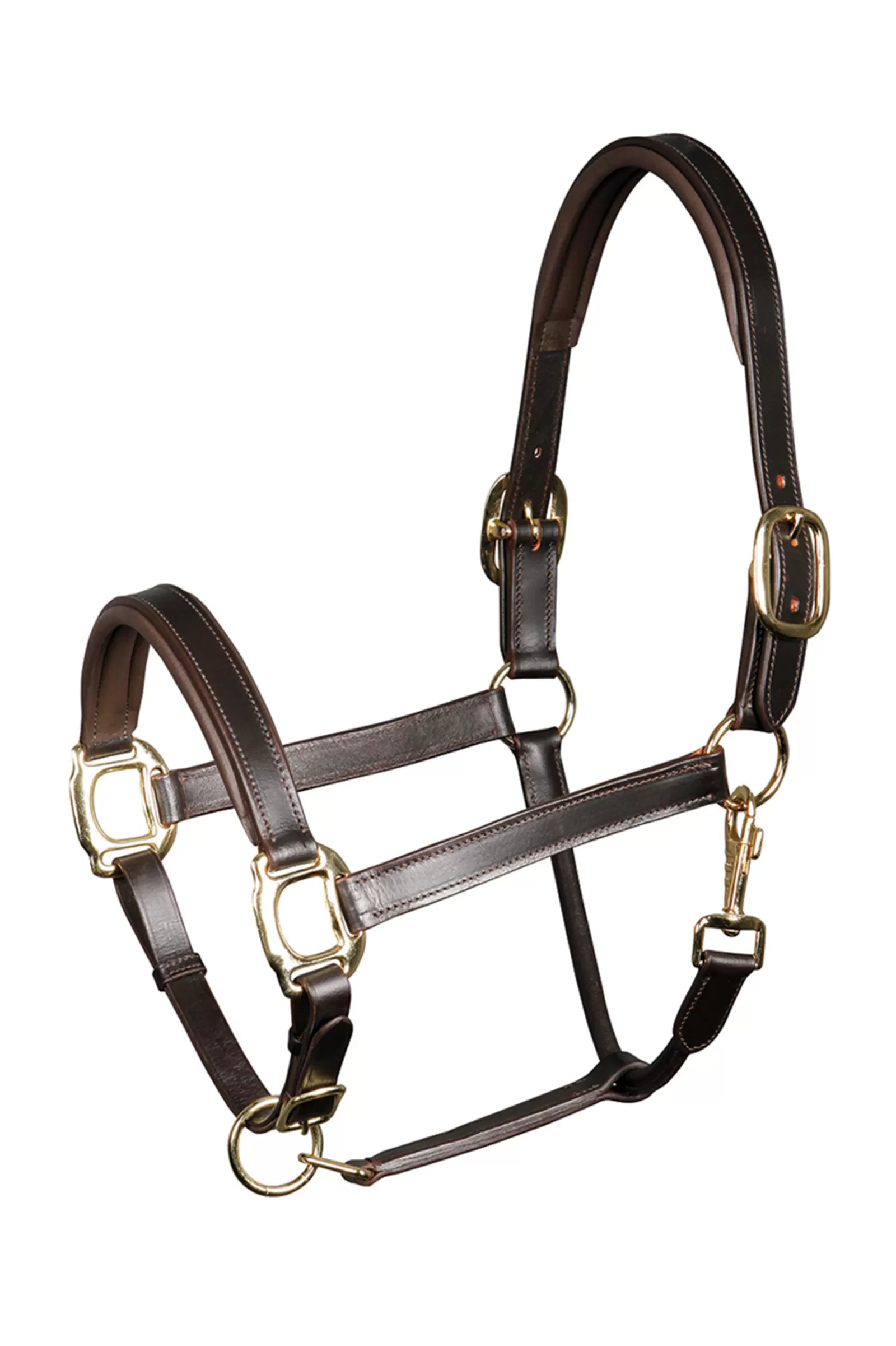 harryshorse Harry'S Horse Halster Leder Padded- Halsters