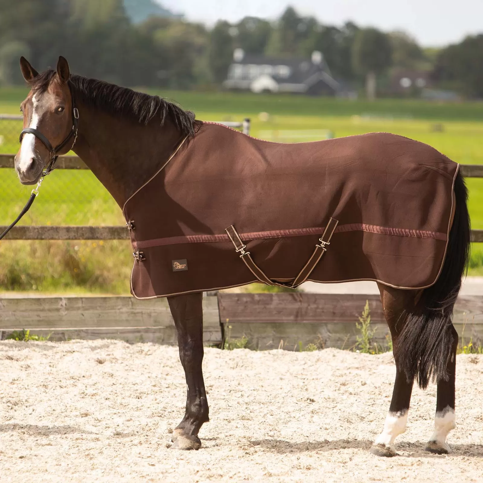 harryshorse Harry'S Horse Zweetdeken- Zweetdekens & Fleecedekens