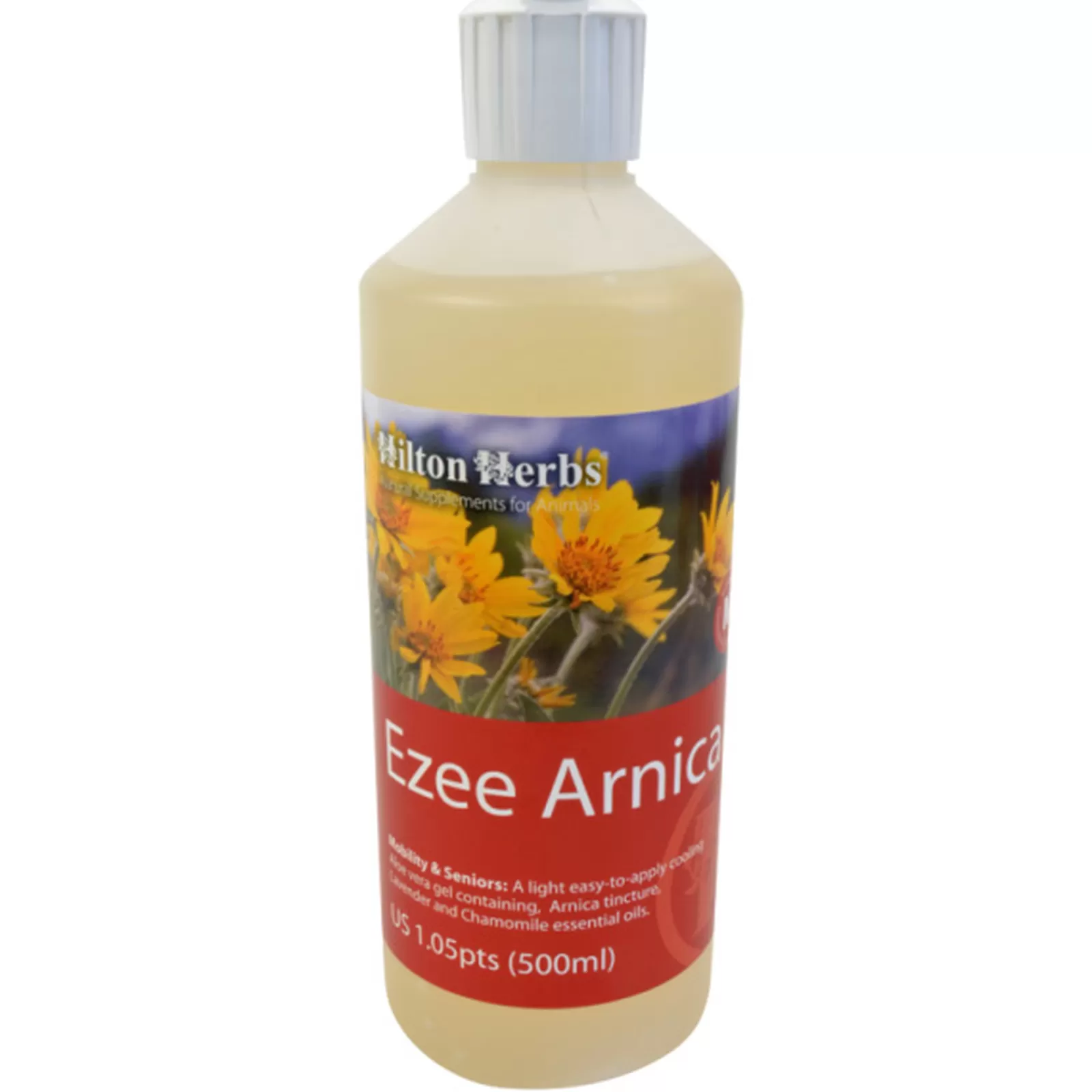 Cheap hiltonherbs Ezee Arnica, 250 Ml Niet Gespecificeerd