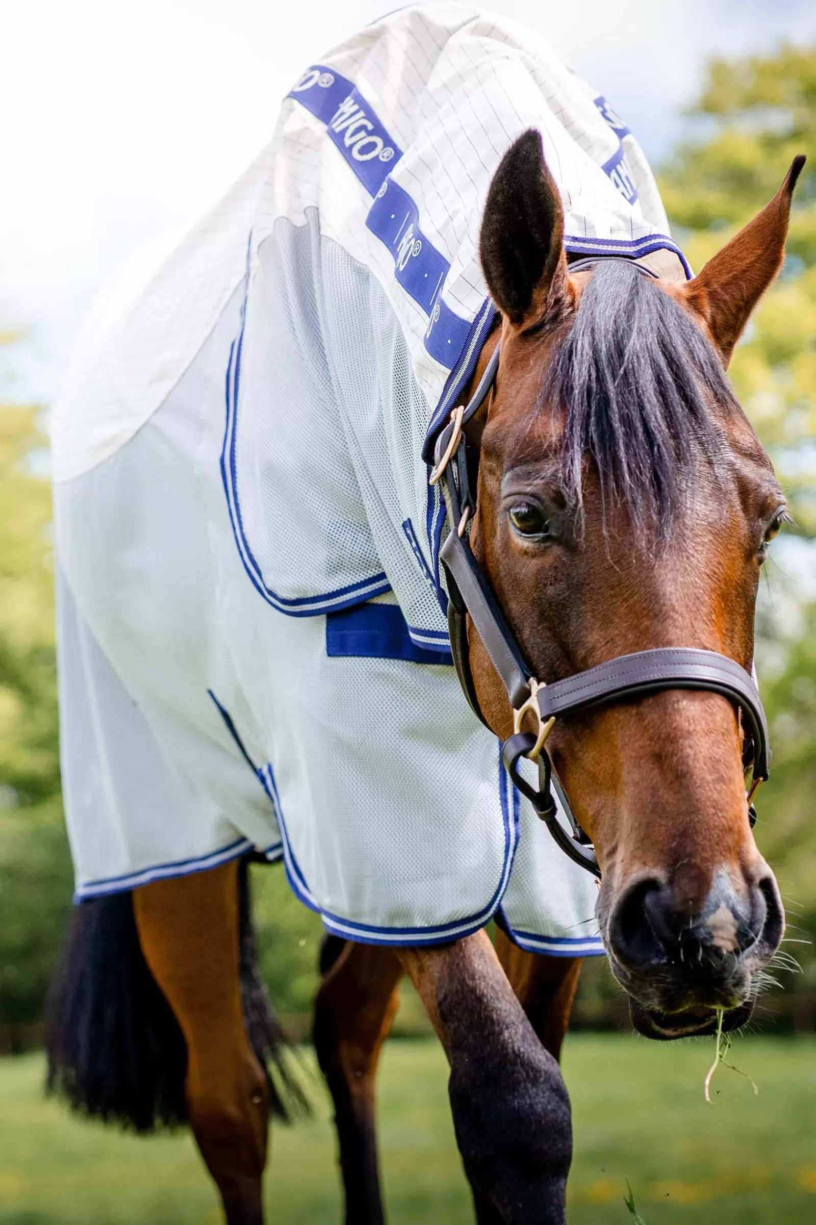 horseware Amigo Airflow- Vliegendekens