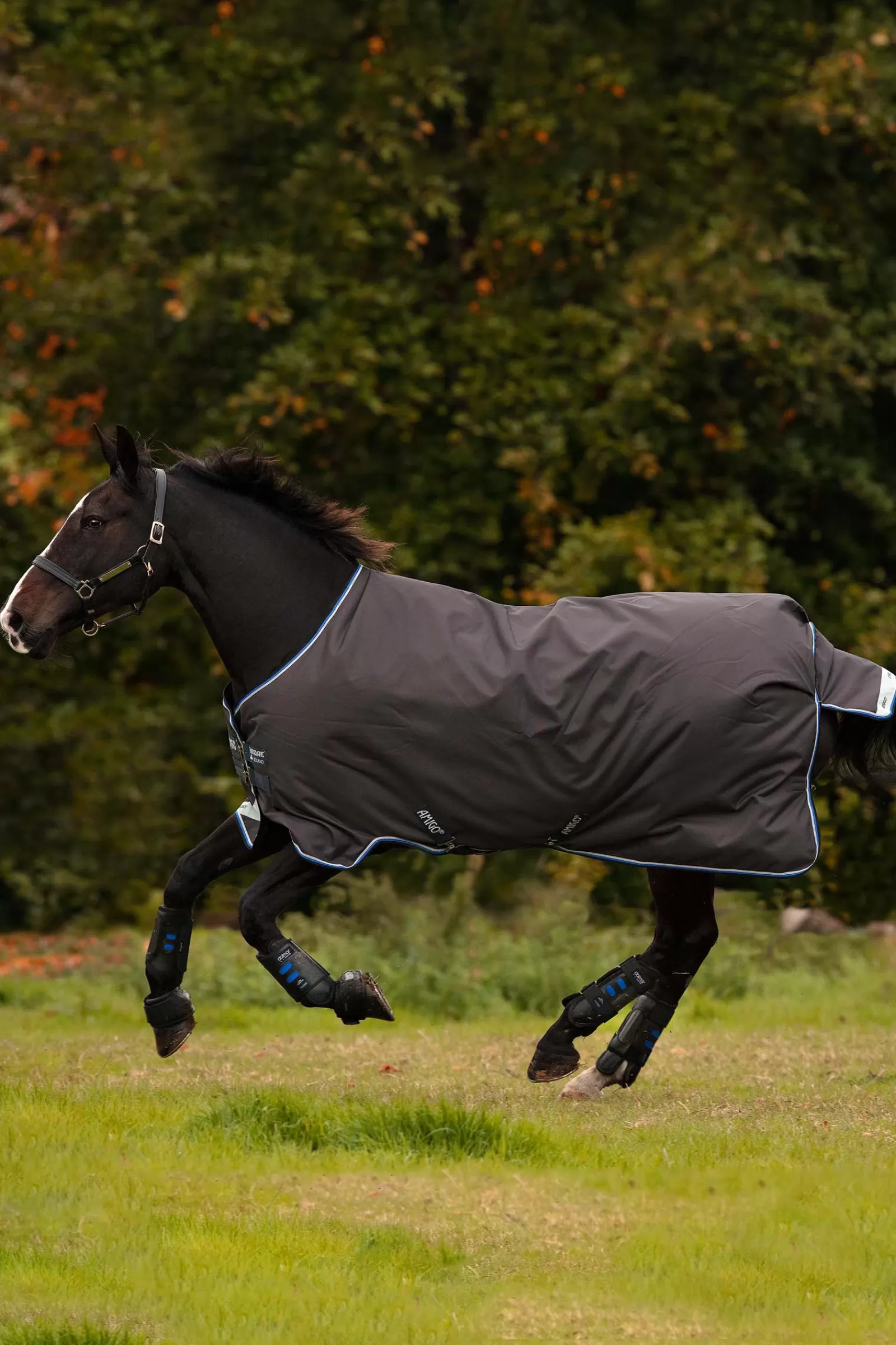 horseware Amigo Bravo 12 Paardendeken, 100 Grams- Regendekens