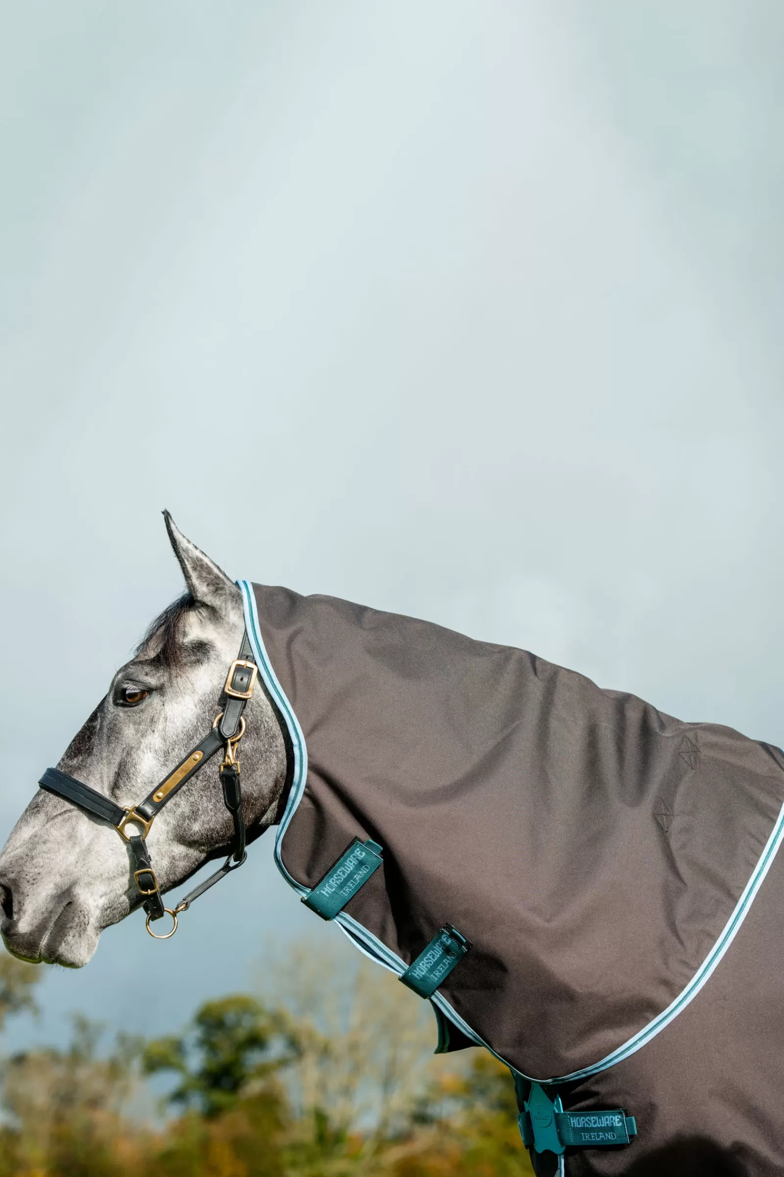 horseware Amigo Bravo 12 Plus Schijfsluiting Paardendeken, 250 Gram- Winterdekens