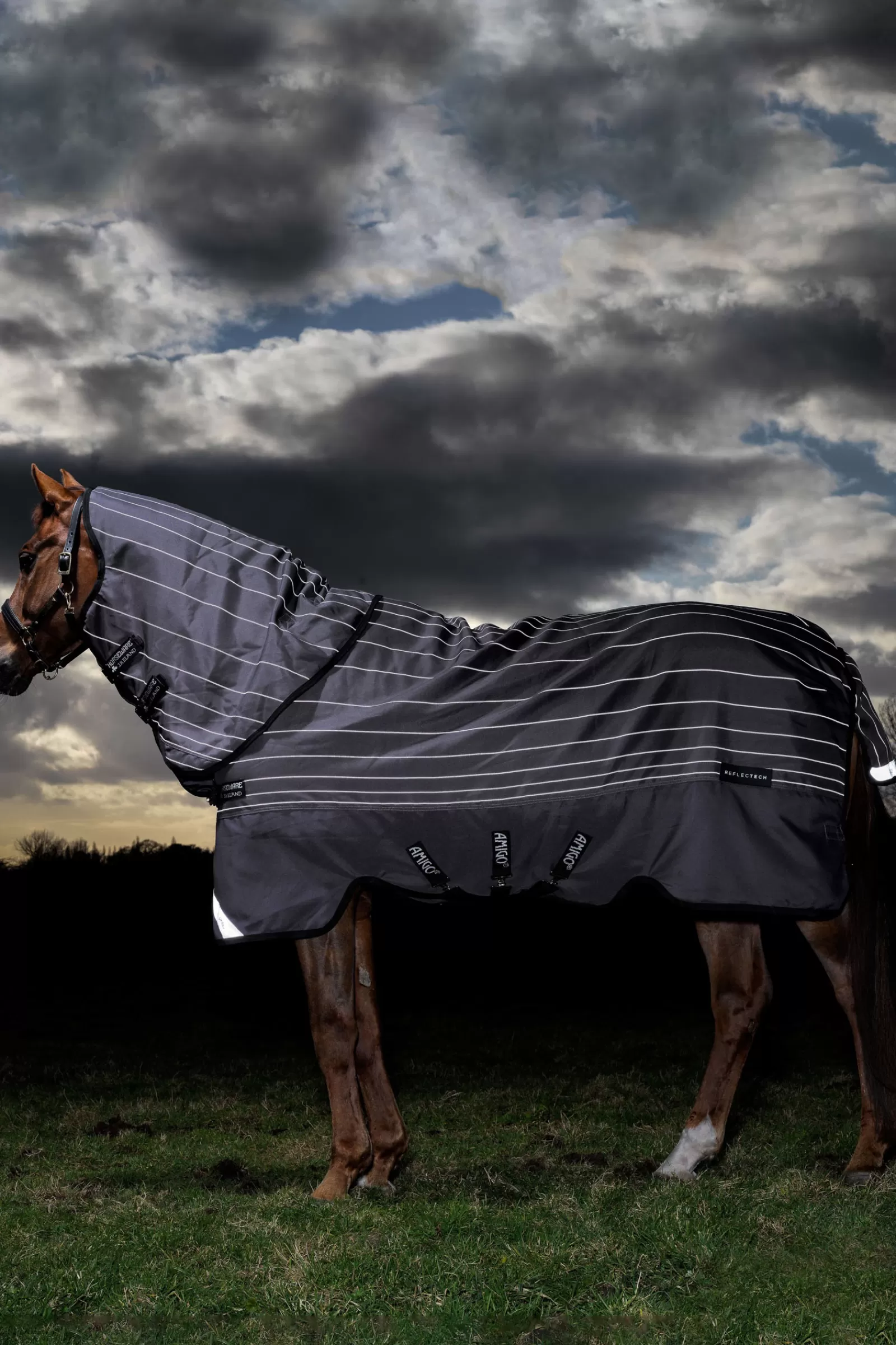 horseware Amigo Bravo 12 Reflectech Plus Turnout Rug With Detachable Neck, 100G- Regendekens
