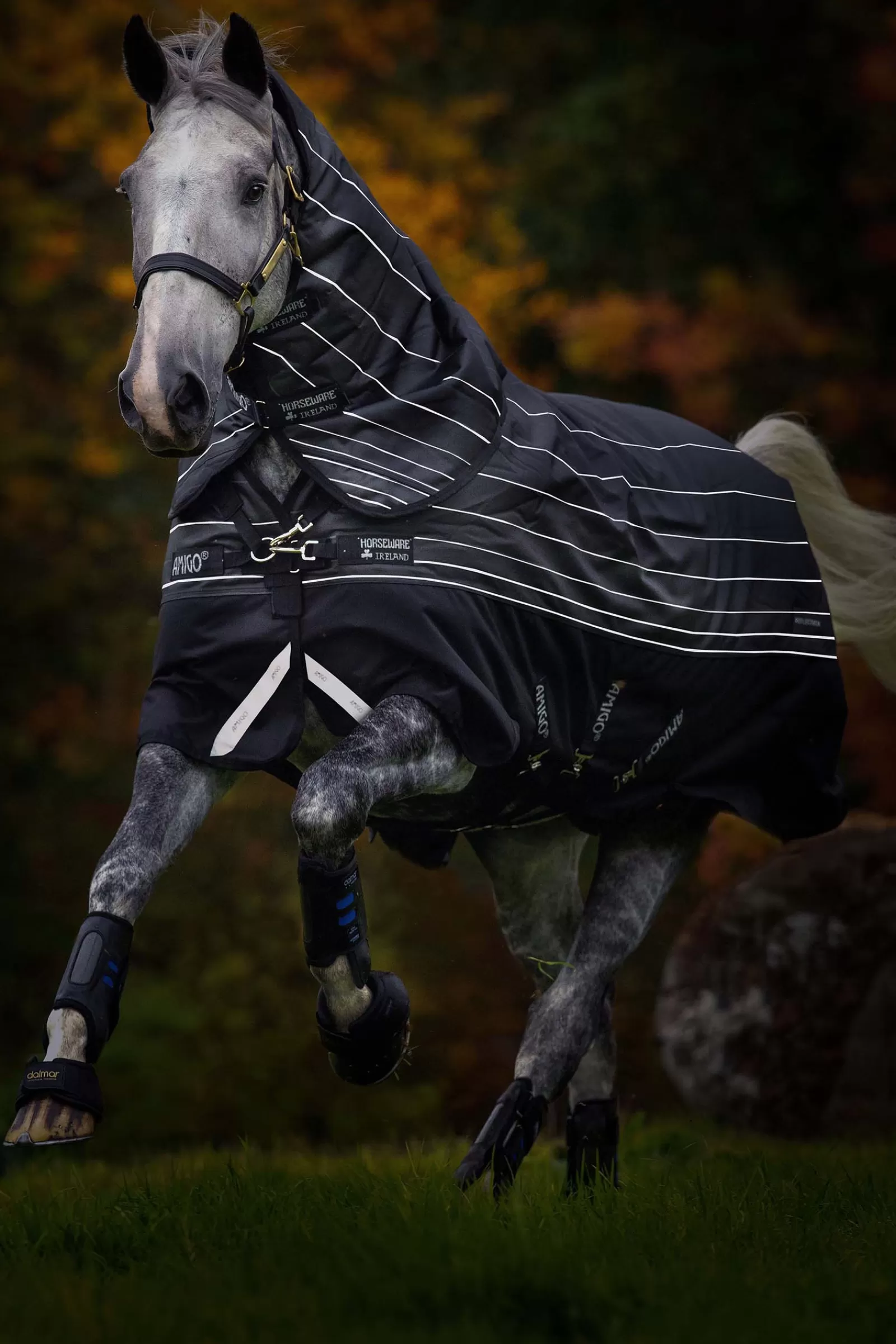 horseware Amigo Bravo 12 Reflective Plus Regendeken Met Afneembare Hals, 250 Grams- Winterdekens