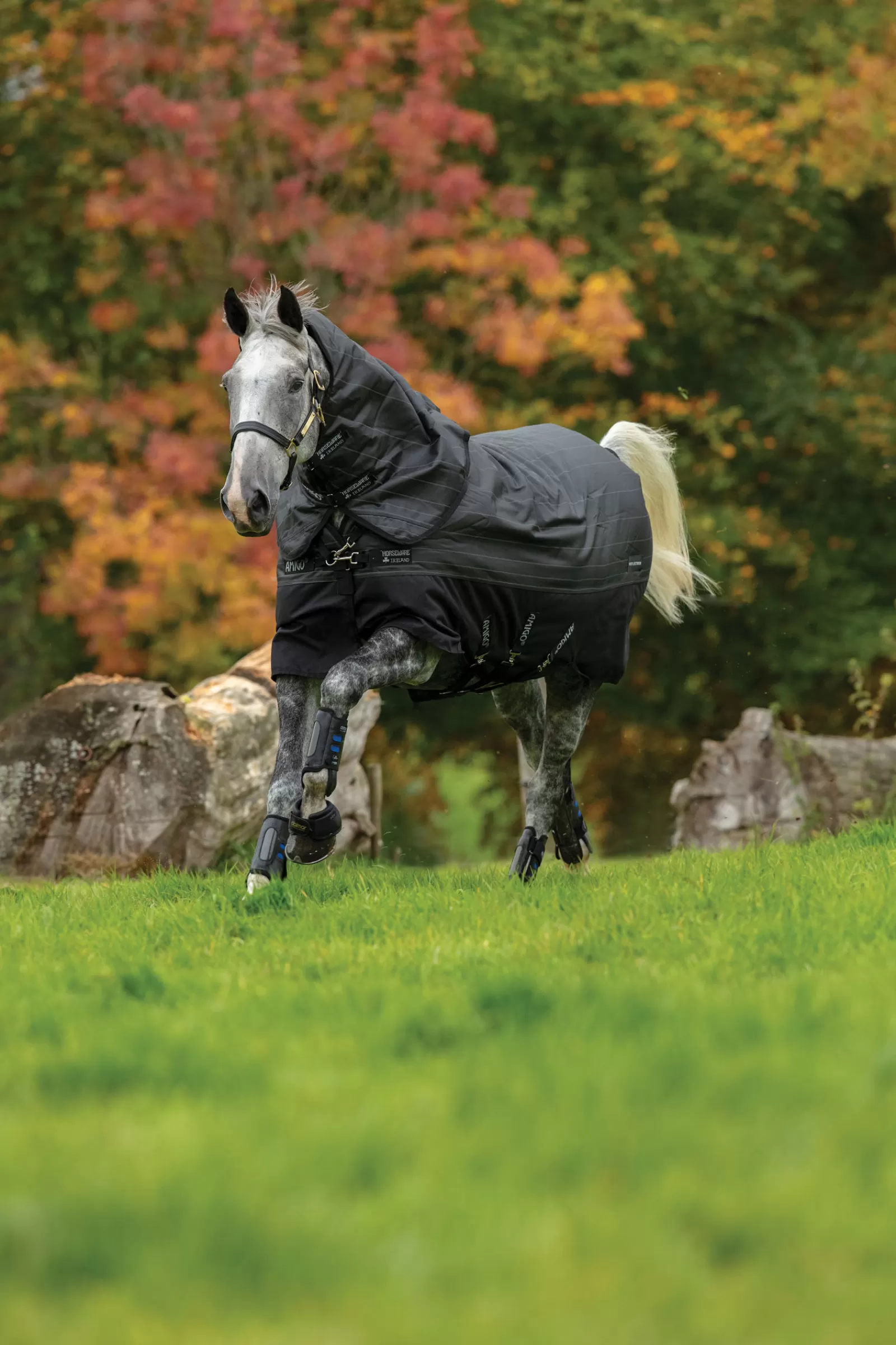 horseware Amigo Bravo 12 Reflective Plus Regendeken Met Afneembare Hals, 250 Grams- Winterdekens