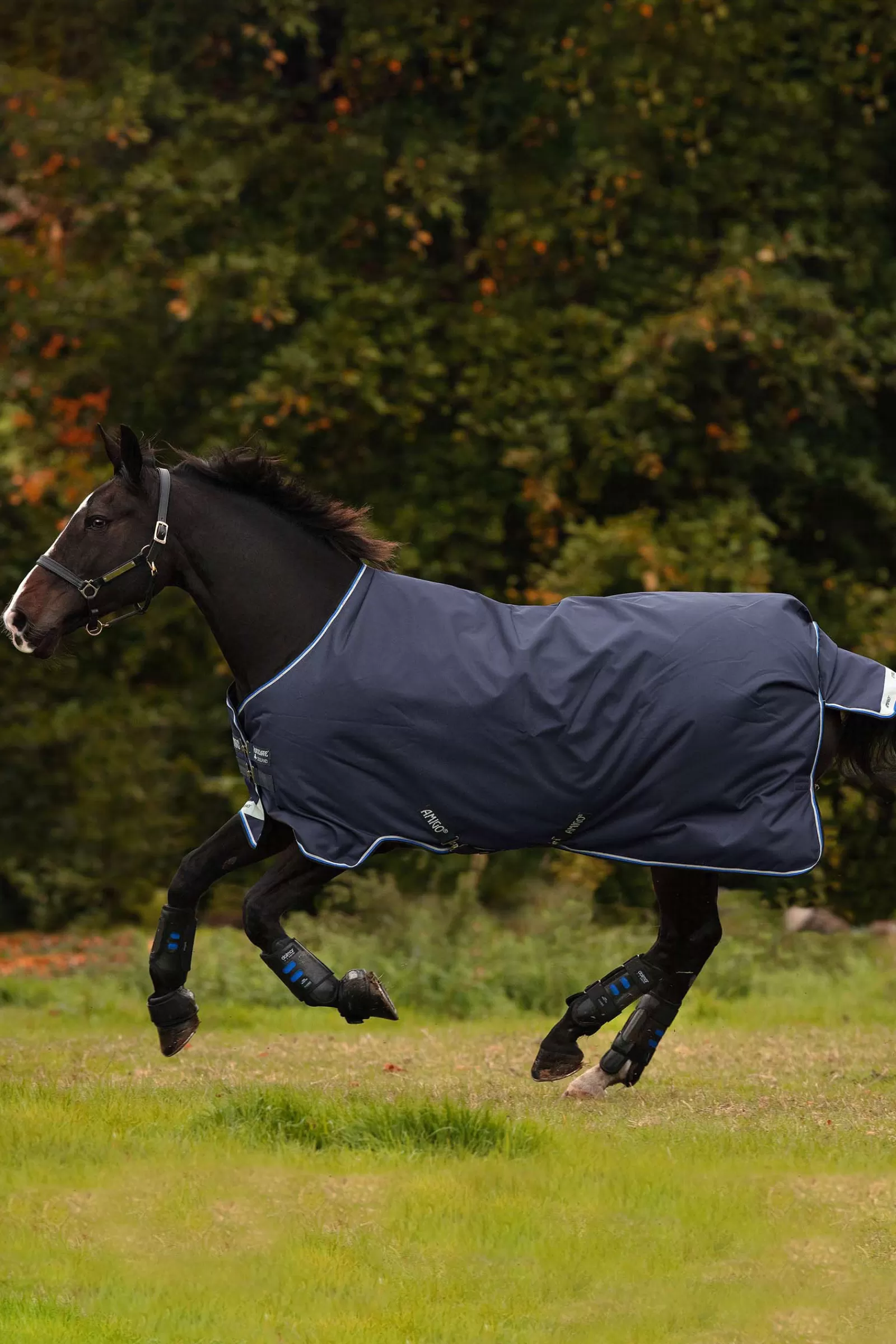 horseware Amigo Bravo - 12 Regendeken, 250 Grams- Winterdekens