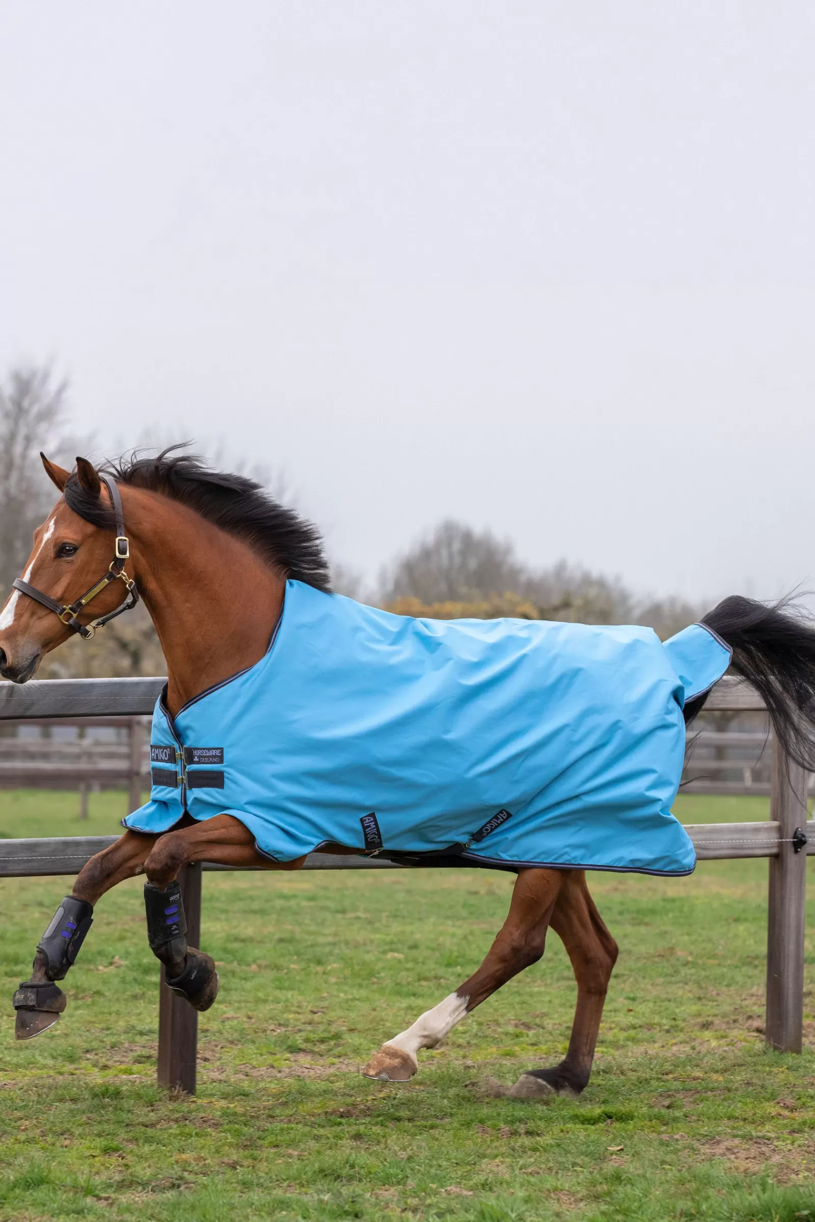 horseware Amigo Hero 900 T/O Lite Turnout Rug, 0G- Regendekens