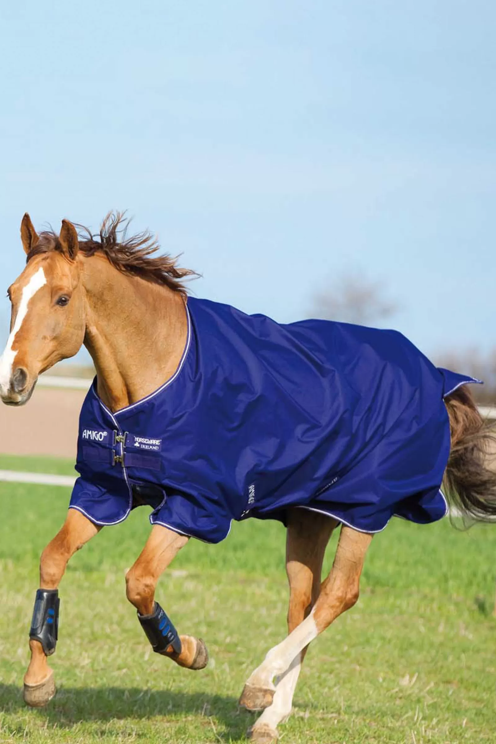 horseware Amigo Hero 900 T/O Med Turnout Rug, 200G- Winterdekens