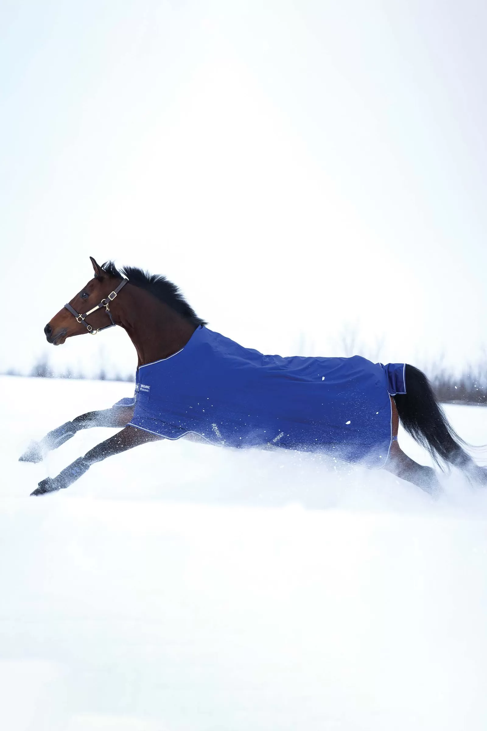 horseware Amigo Hero 900 T/O Med Turnout Rug, 200G- Winterdekens