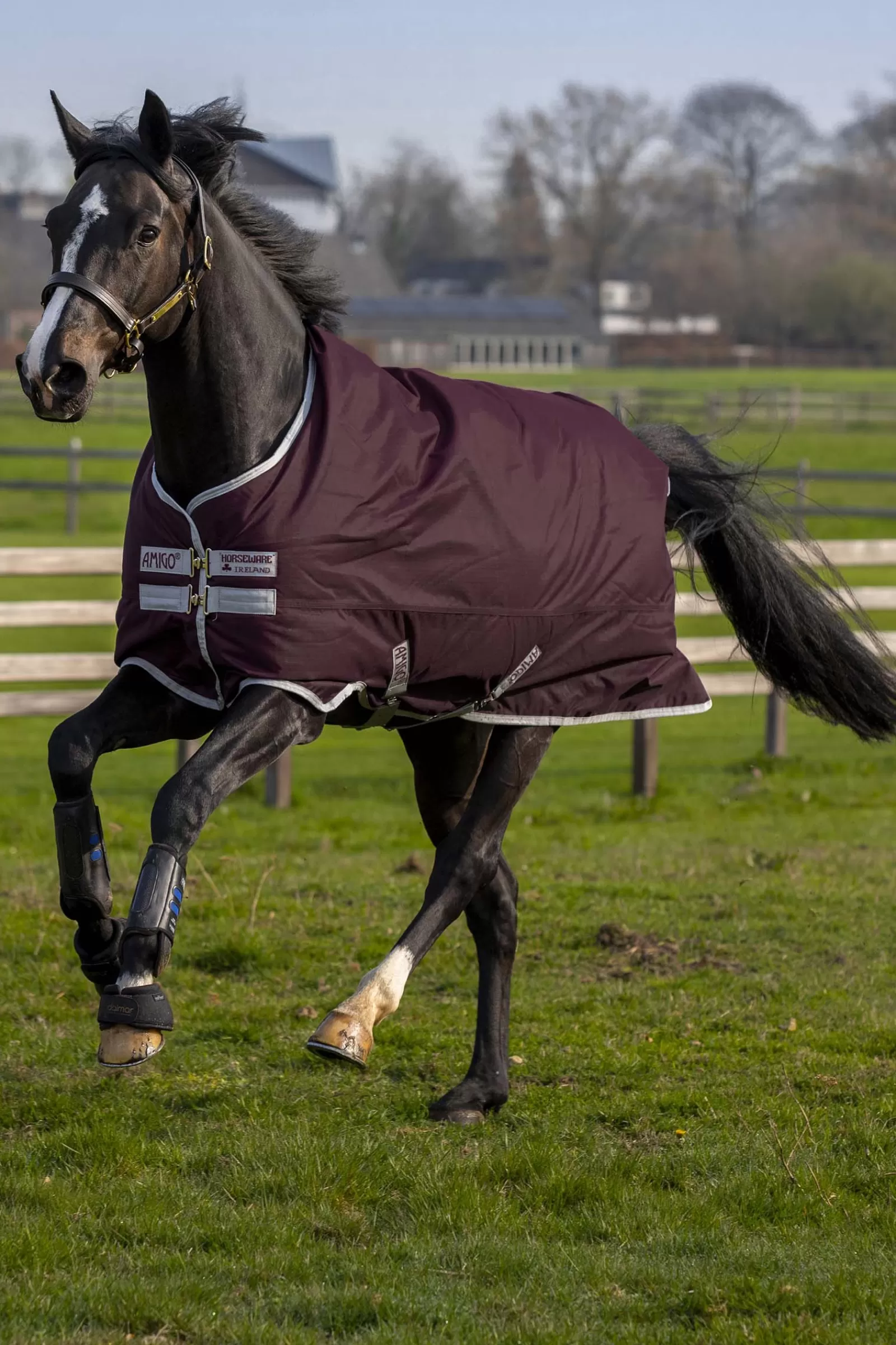 horseware Amigo Hero Ripstop Met Fleecevoering Fi/Lnd, 50 Grams- Regendekens