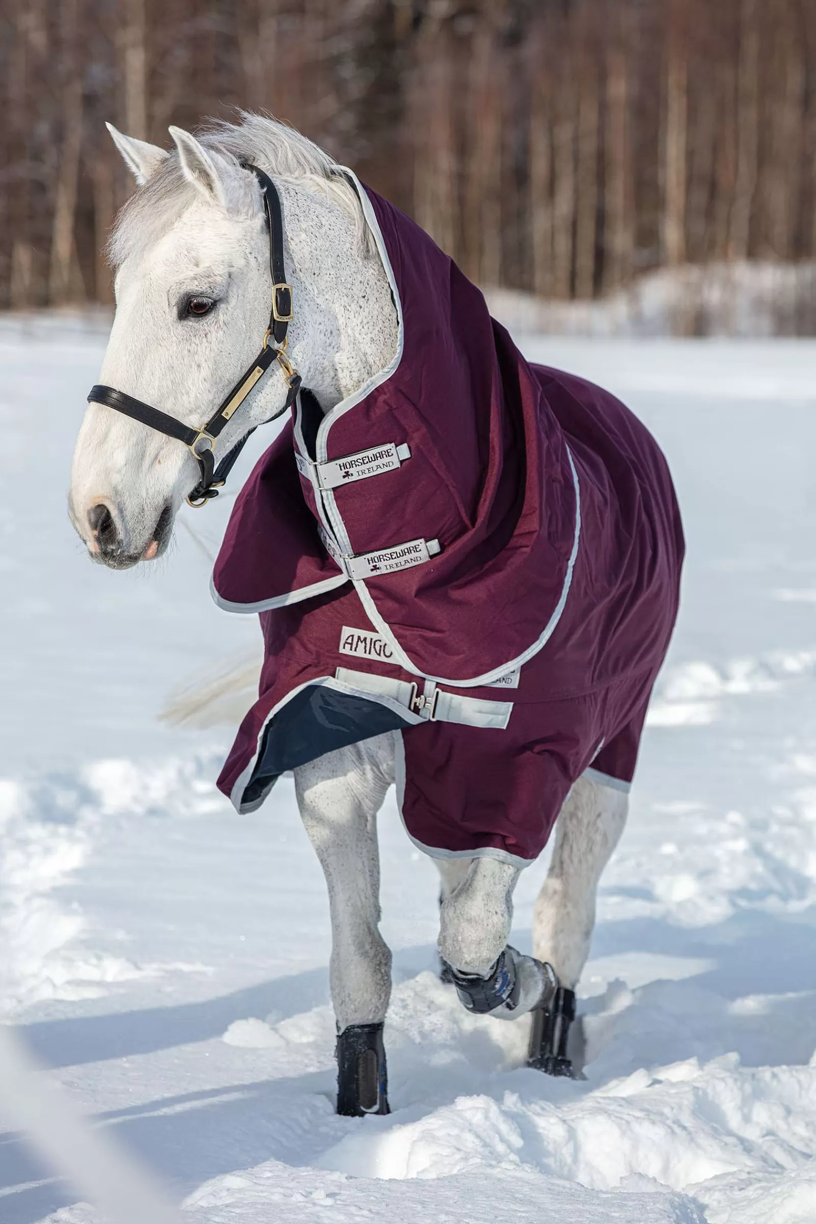 horseware Amigo Hero Ripstop Plus Medium Regendeken Met Afneembare Hals, 200 Grams- Winterdekens