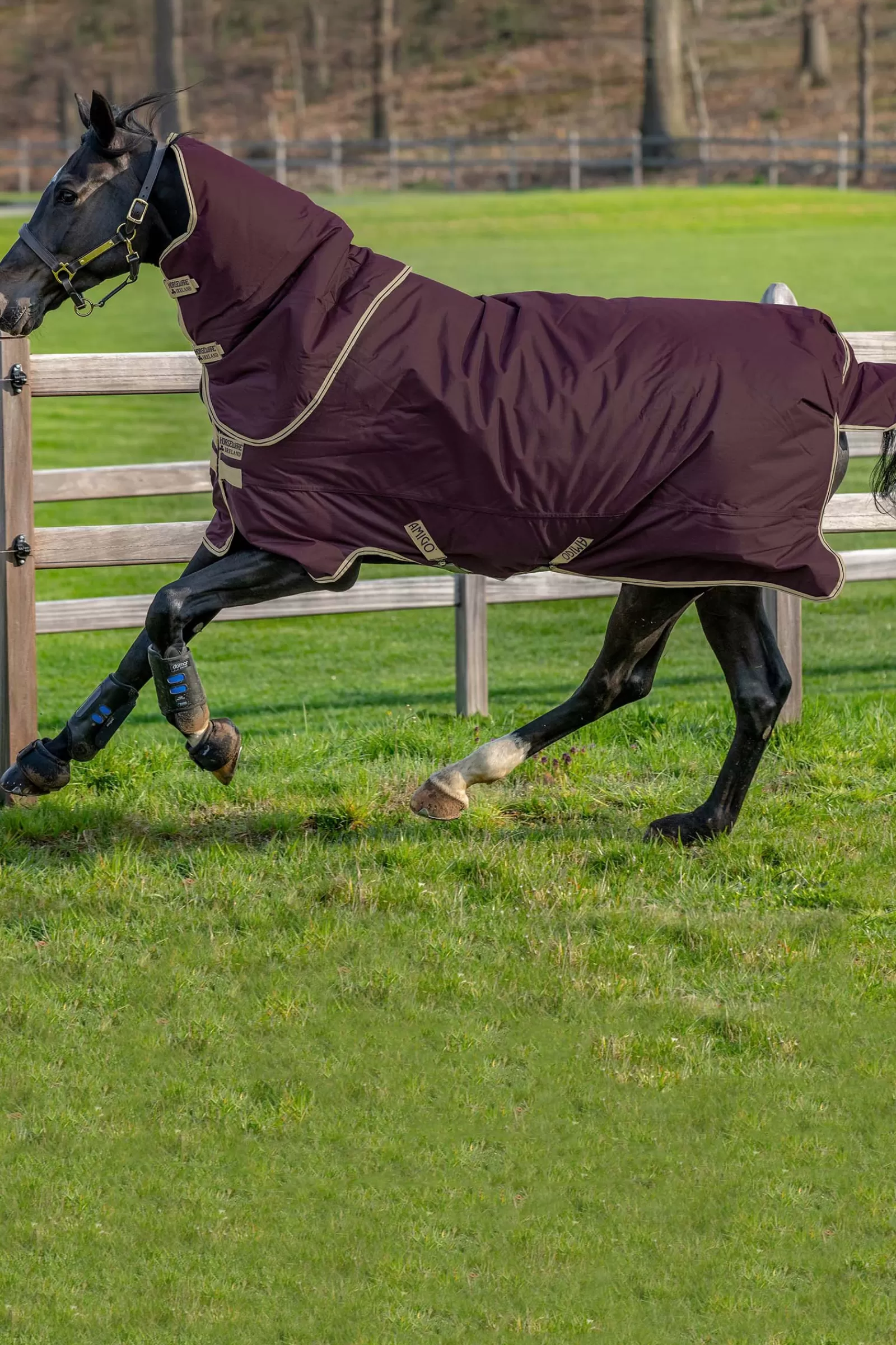 horseware Amigo Hero Ripstop Plus Regendeken Met Afneembare Hals, 0 Grams- Regendekens
