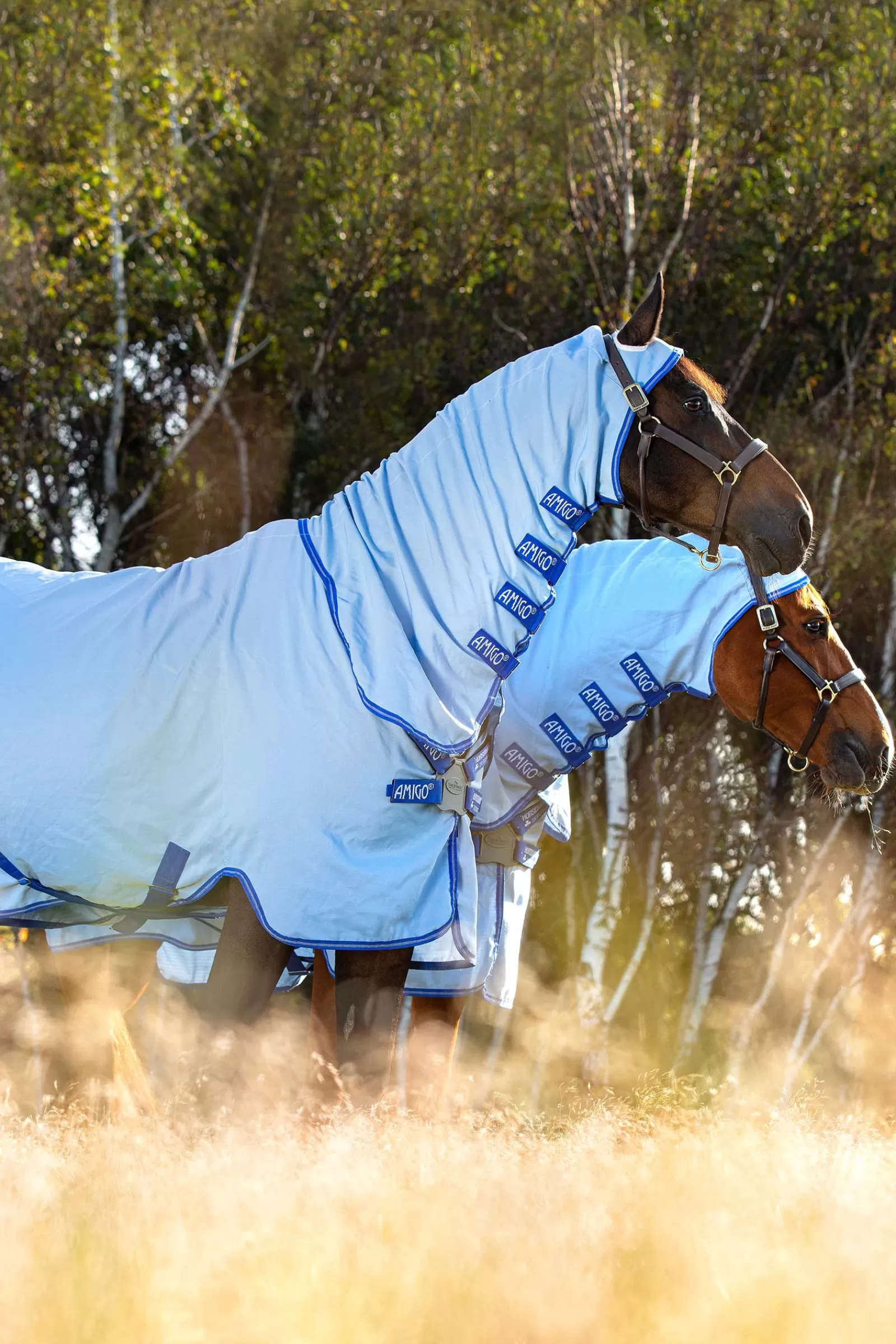 horseware Amigo Hoody Eczeemdeken Met Vaste Hals- Eczeemdekens