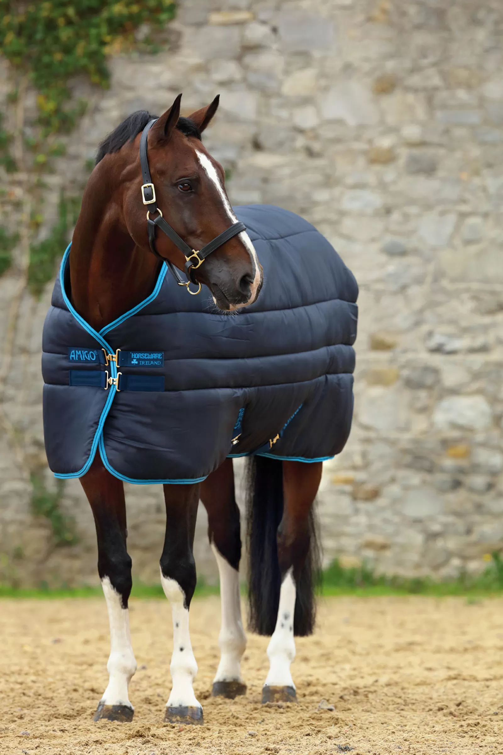 horseware Amigo Insulator 550 G Plus- Staldekens & Onderdekens