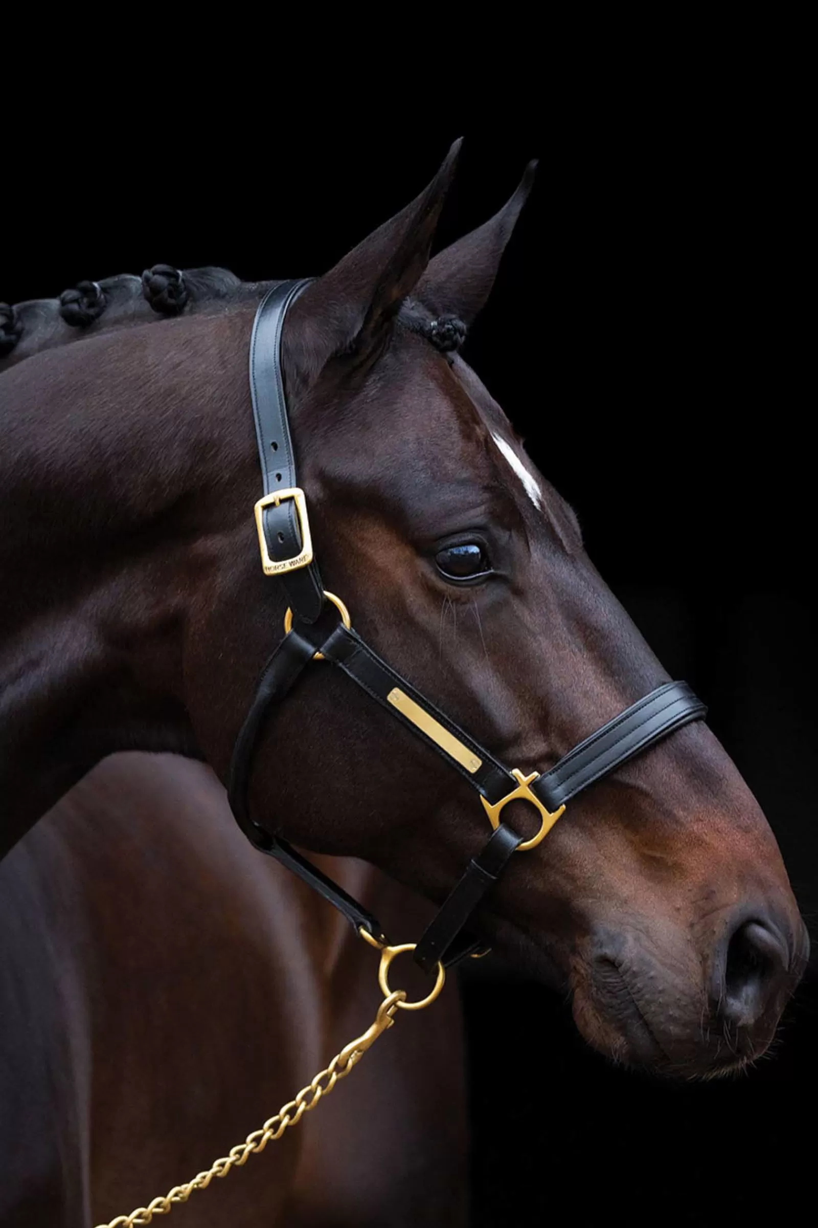 horseware Amigo Onderlegde Halster- Halsters