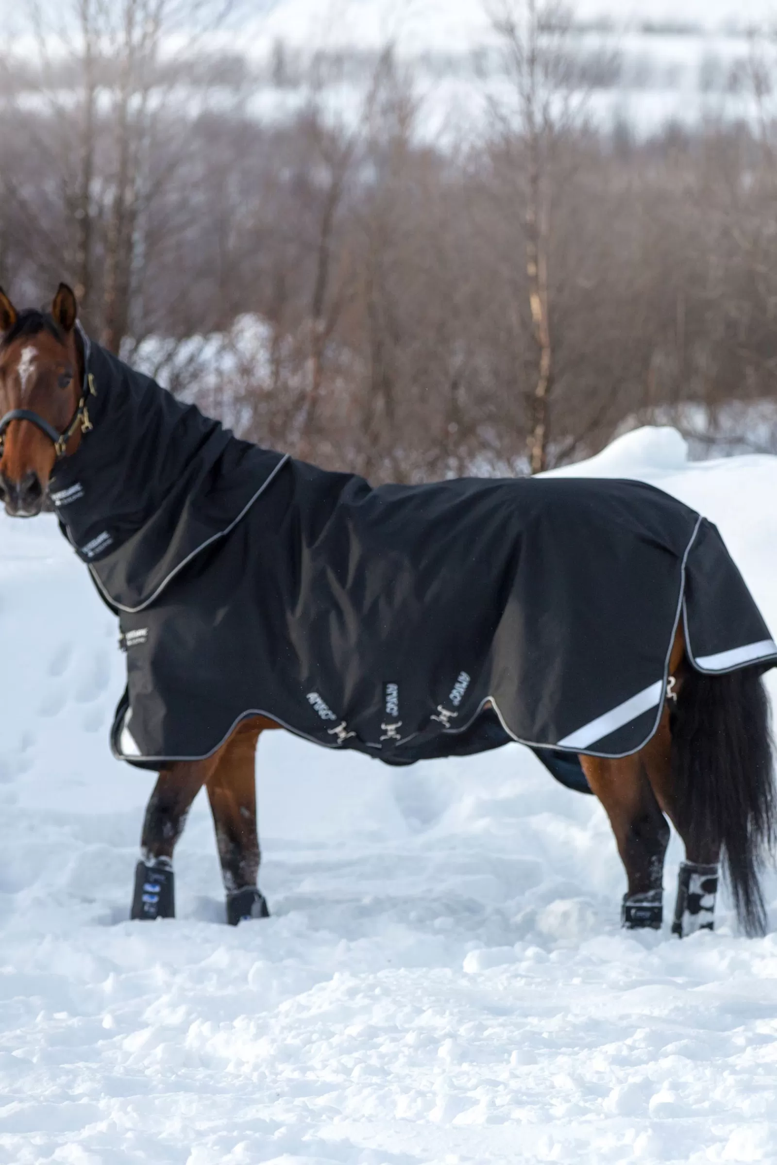 horseware Amigo Super Bravo Plus Incl. Afneembare Hals, 250 Grams- Winterdekens