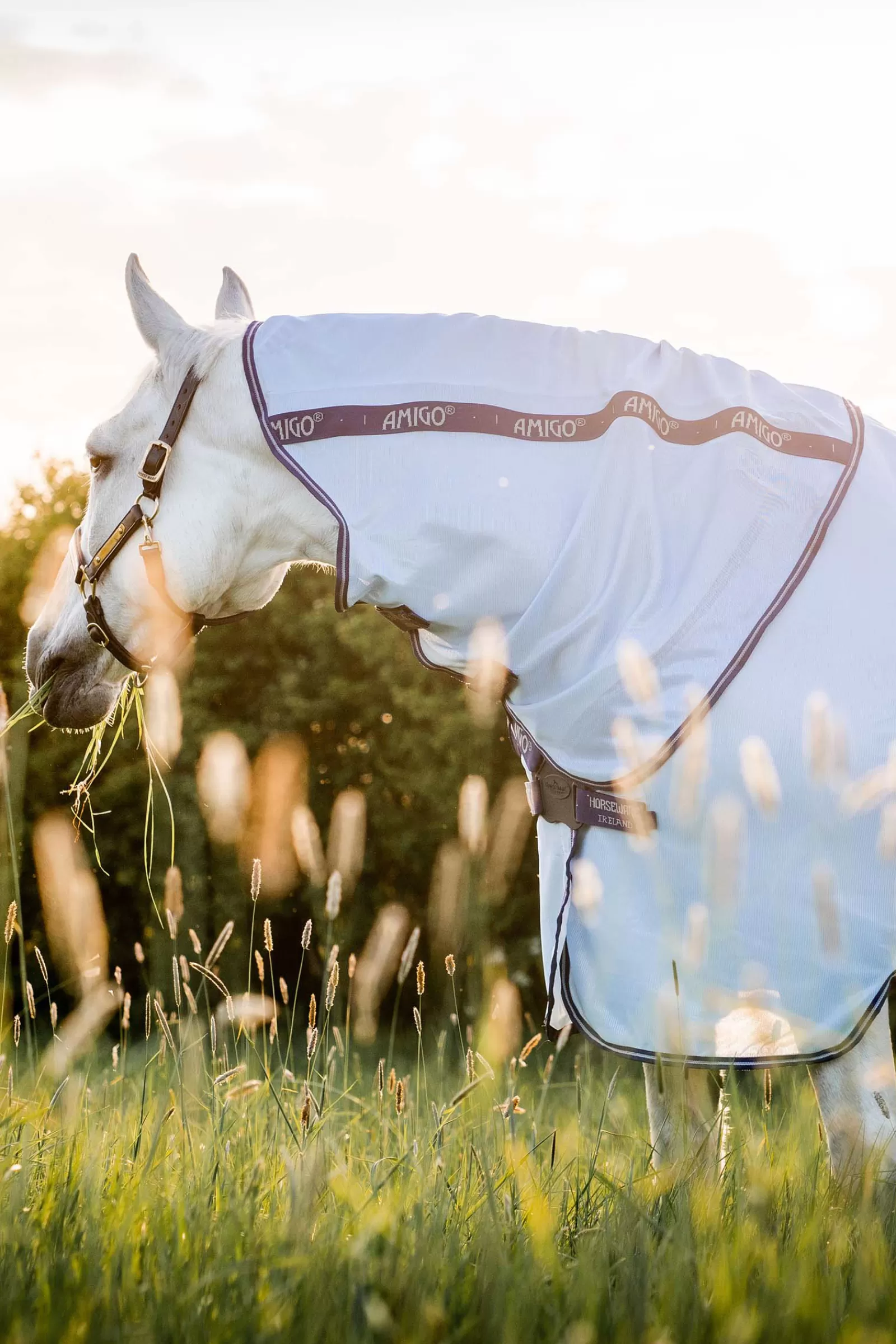 horseware Amigo Xl Vliegendeken- Vliegendekens