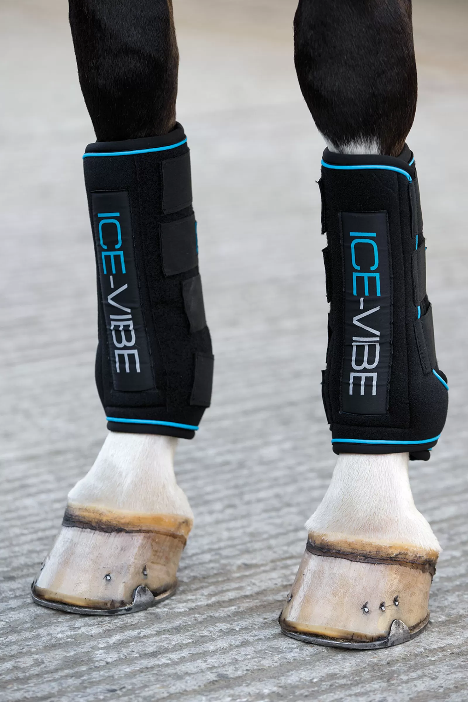 horseware Ice-Vibe Beschermers- Onderbandages