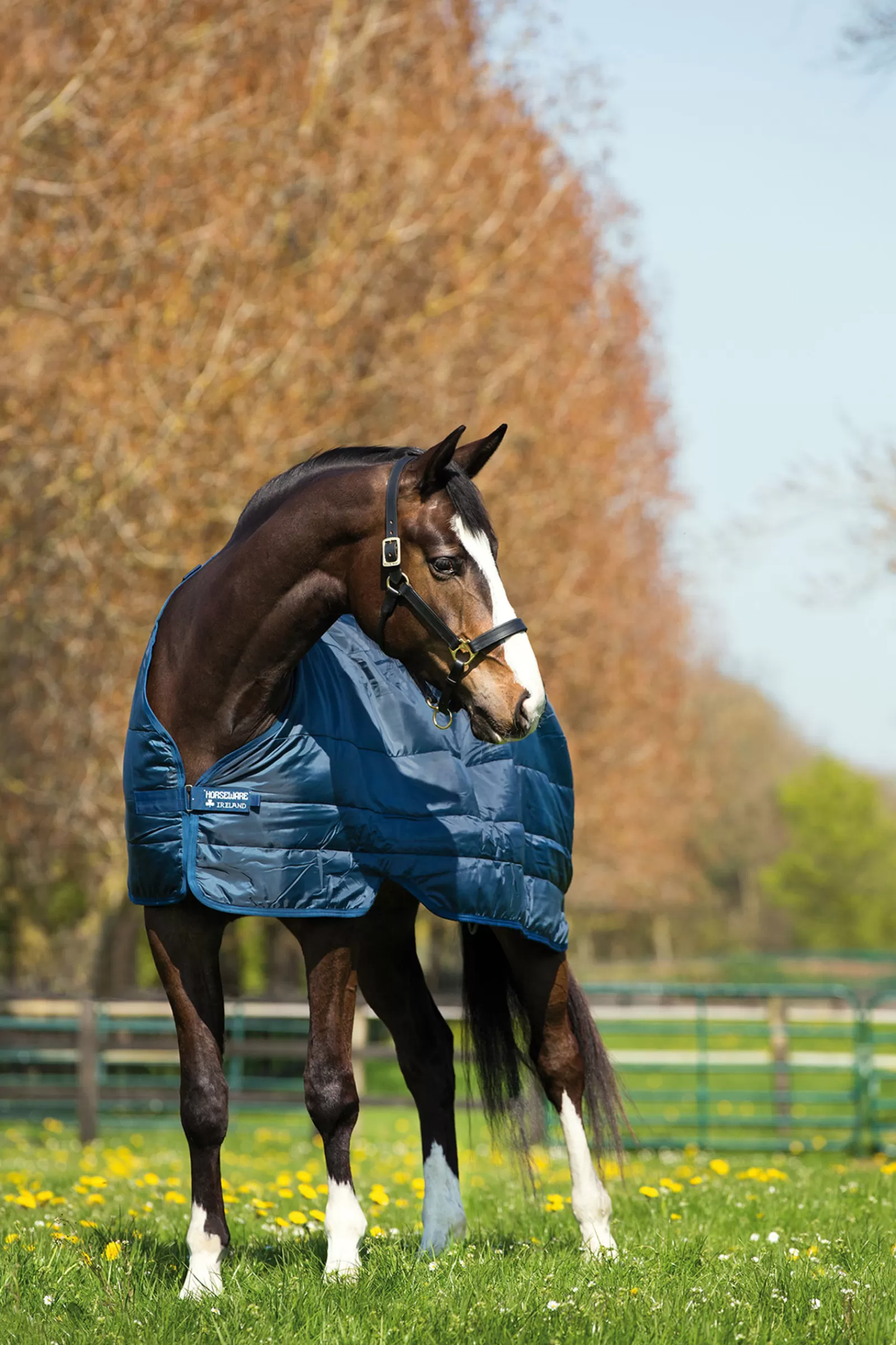 horseware Liner Onderdeken, 100 Grams- Staldekens & Onderdekens