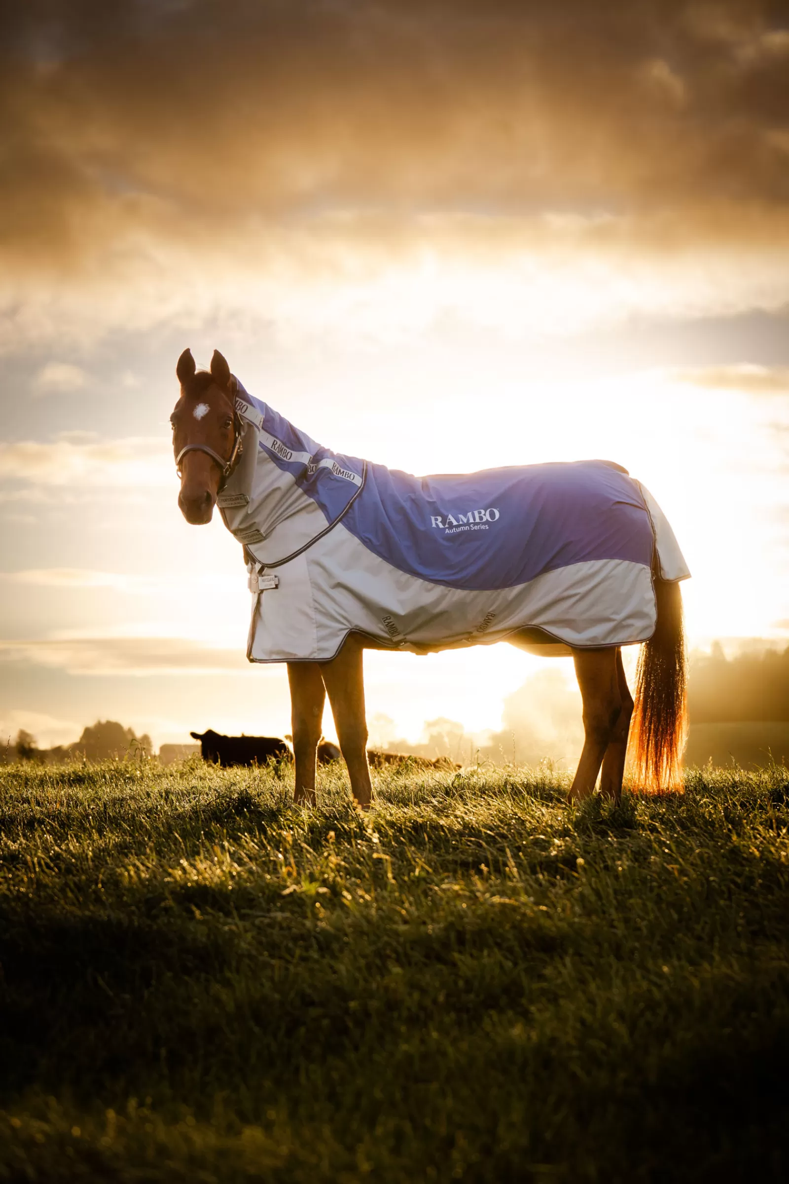 horseware Rambo Autumn Series- Regendekens