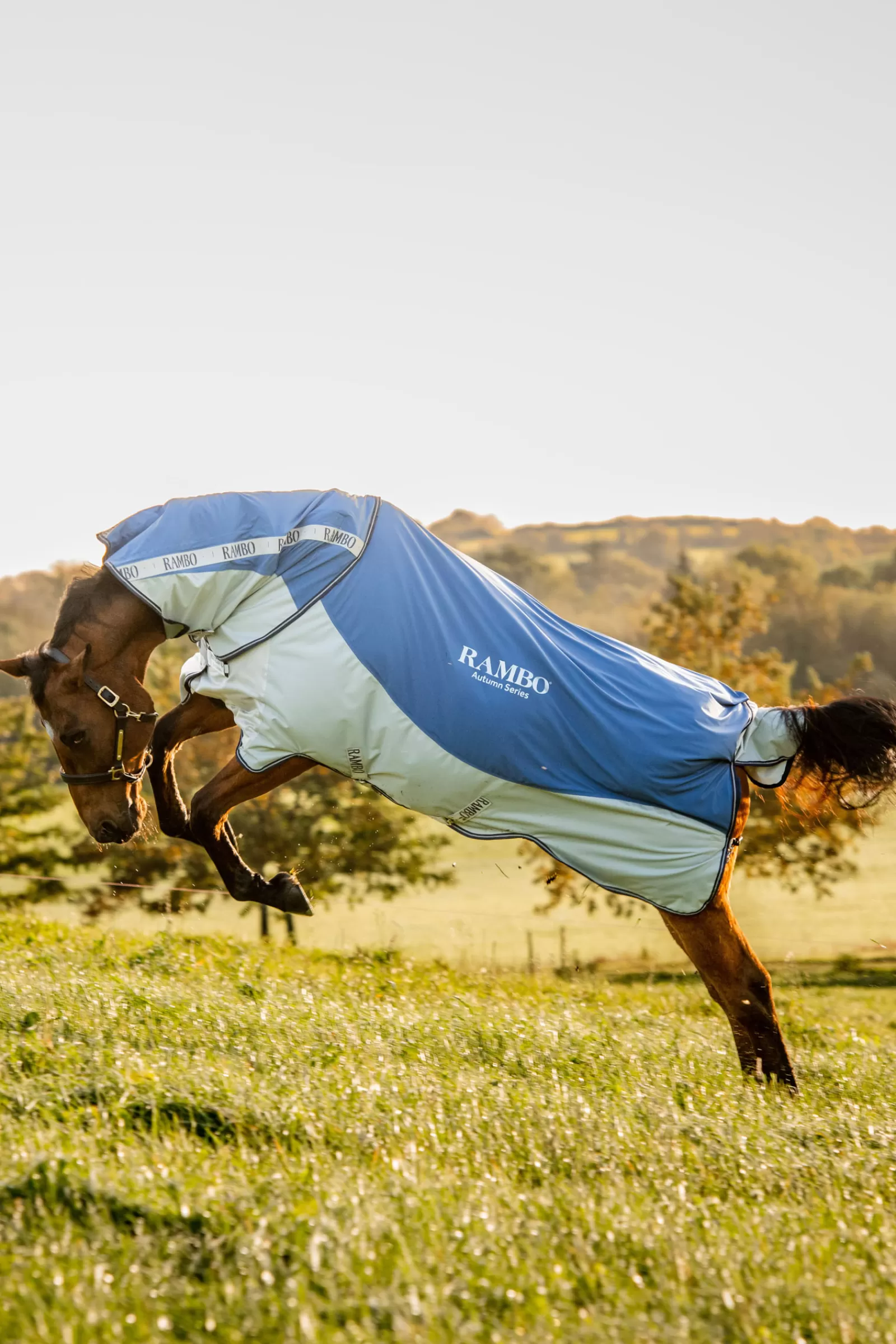 horseware Rambo Autumn Series- Regendekens