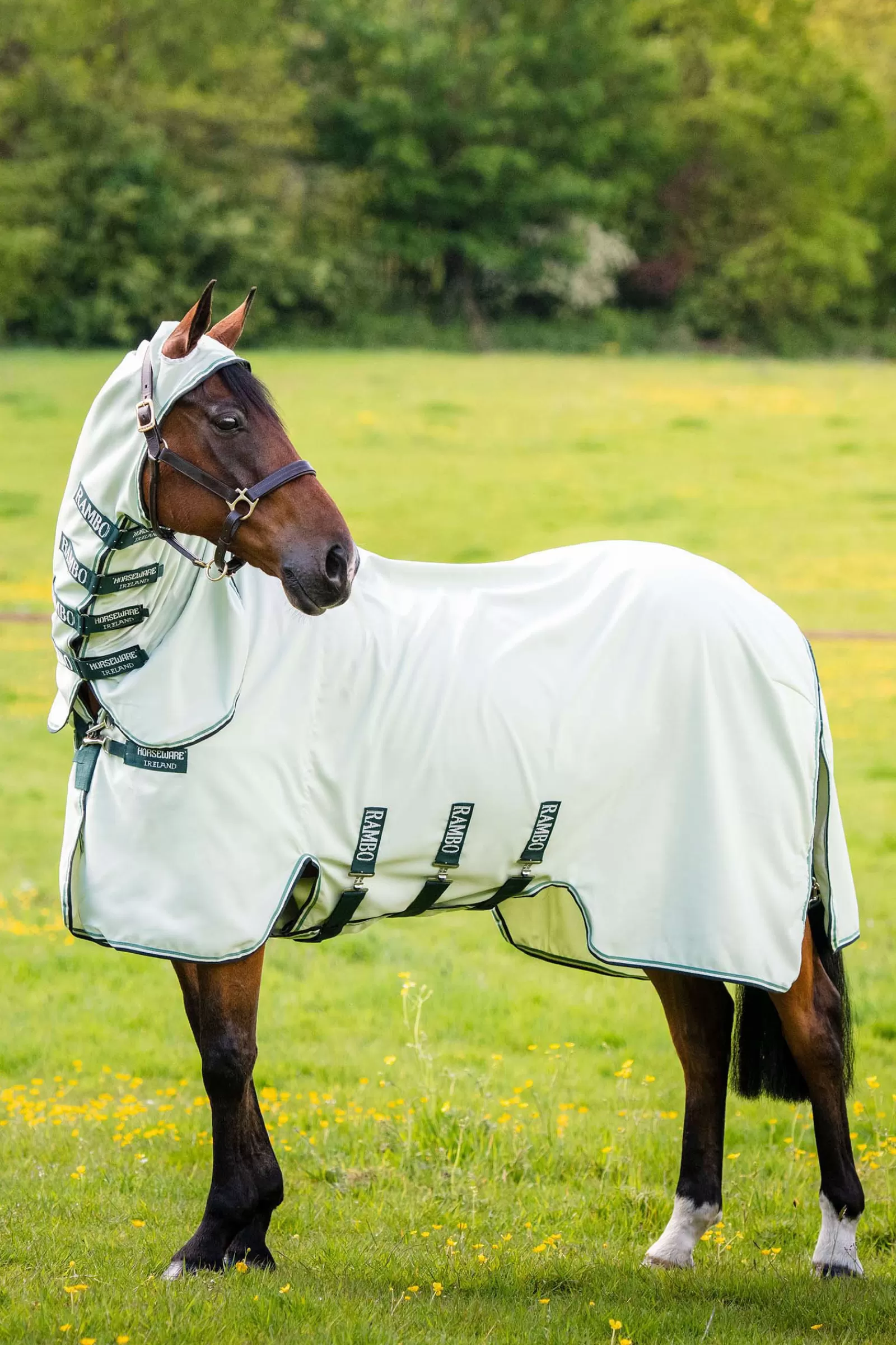 horseware Rambo Eczeemdeken- Vliegenmaskers & Vliegenfrontriemen