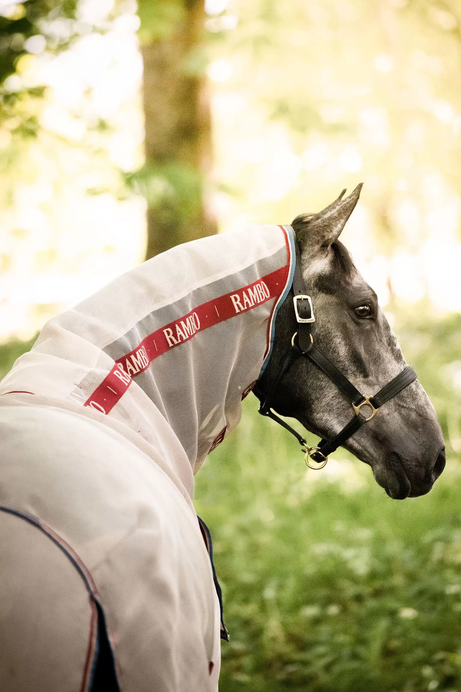 horseware Rambo Met Protector Disc Voorzijde, Vliegendeken- Vliegendekens