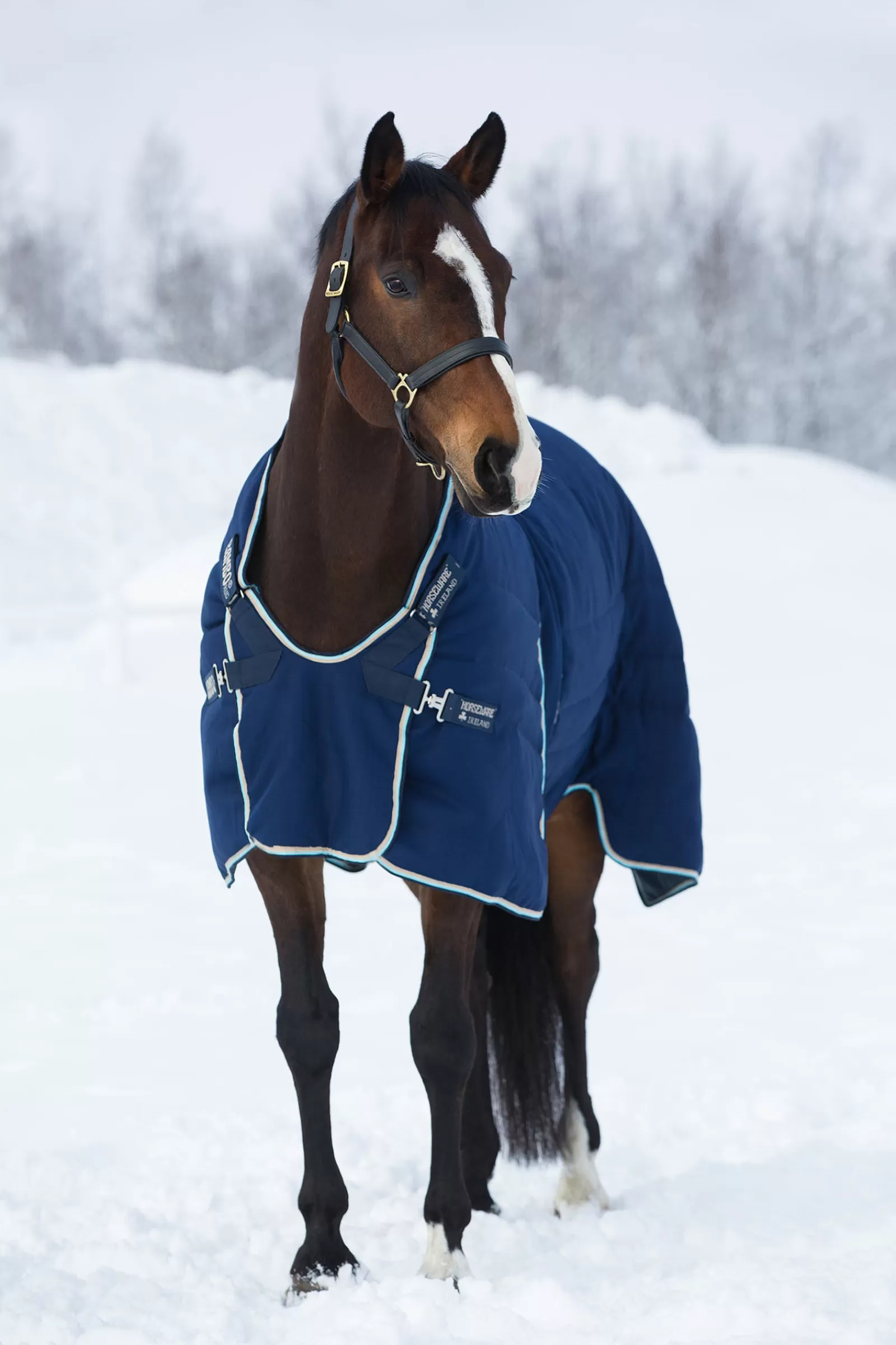 horseware Rambo Optimo Staldeken 400 Grams- Staldekens & Onderdekens