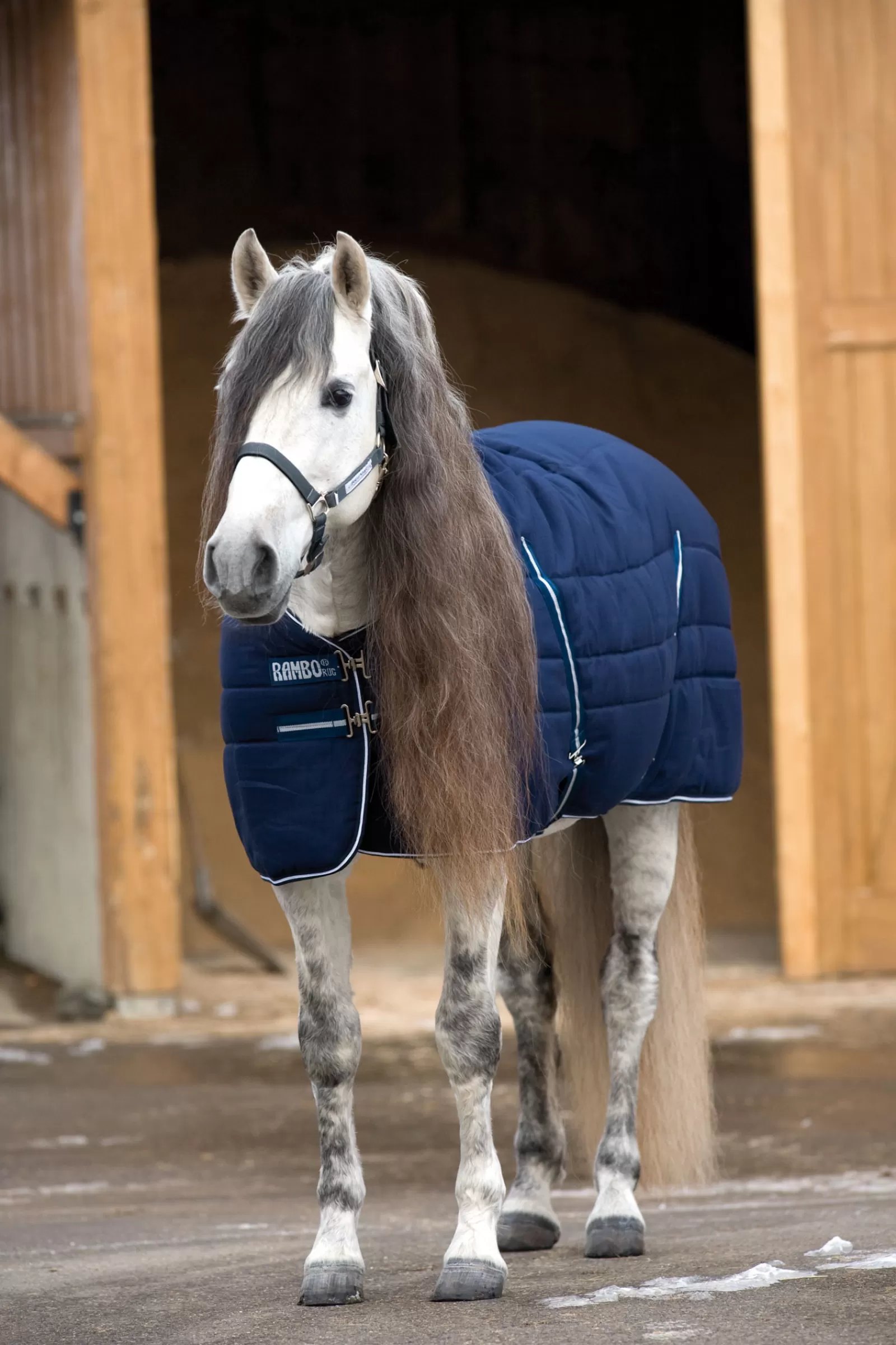 horseware Rambo Staldeken, 400 Gram- Staldekens & Onderdekens