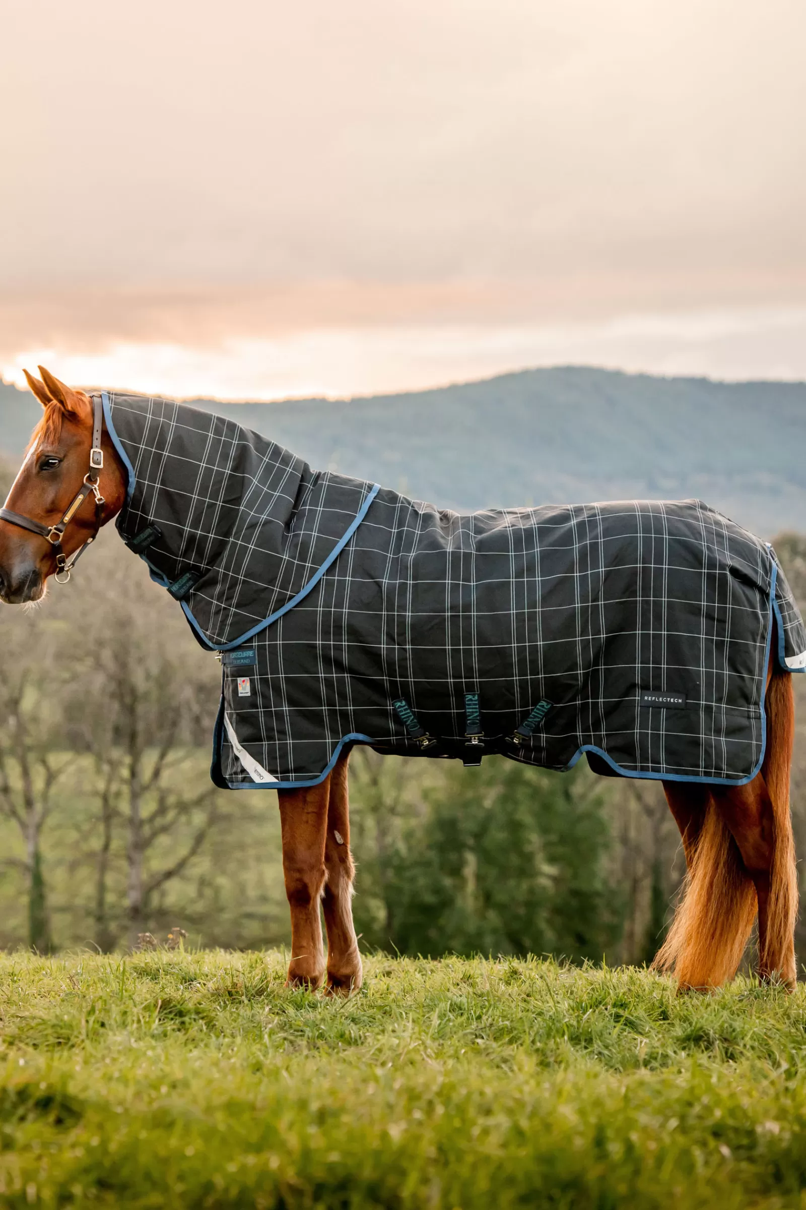 horseware Reflectech Plus Vari-Layer Outdoordeken Incl. Afneembare Hals, 250 Grams- Regendekens