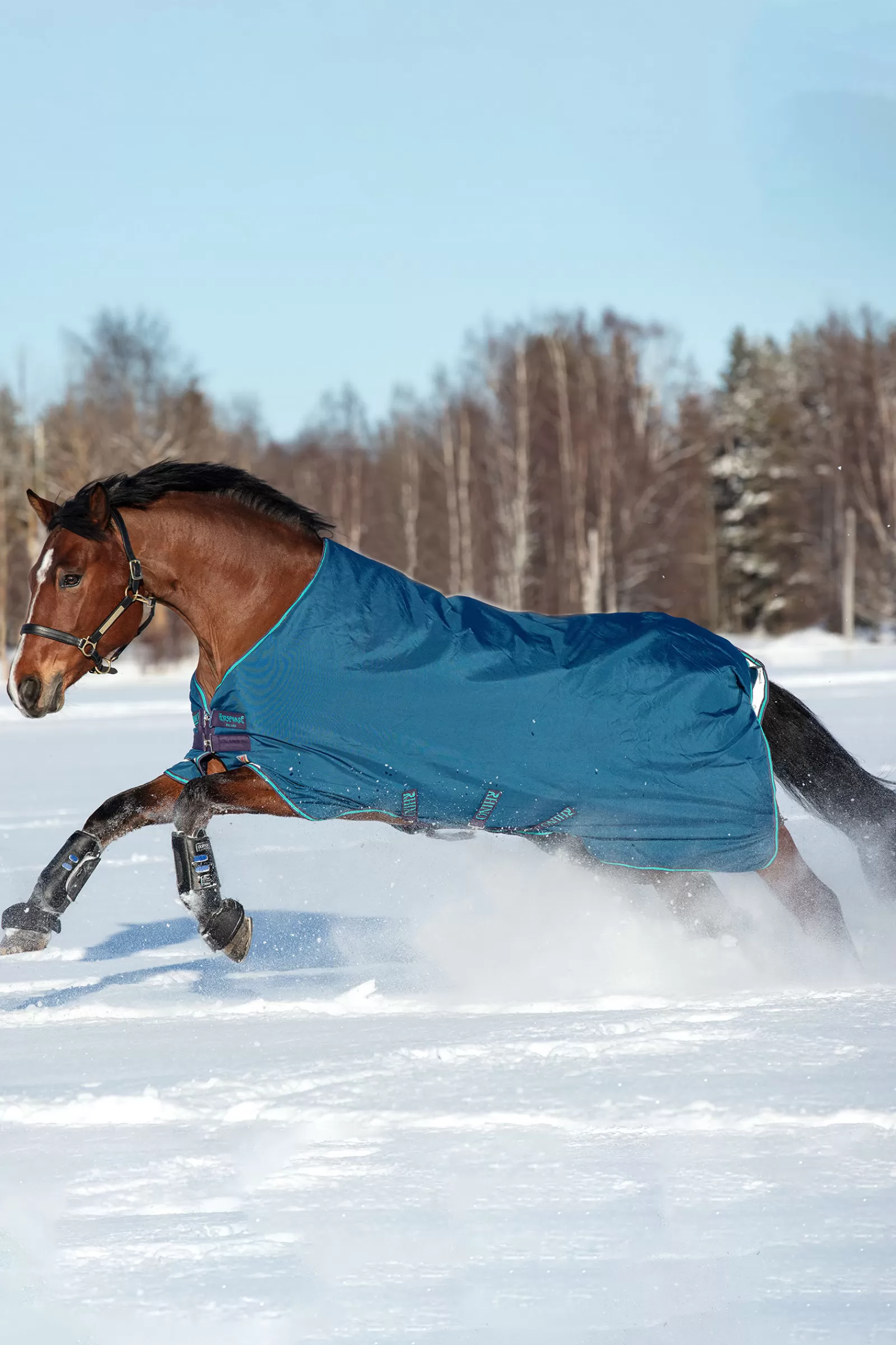 horseware Rhino Original Paardendeken Medium Vl, 250G- Winterdekens