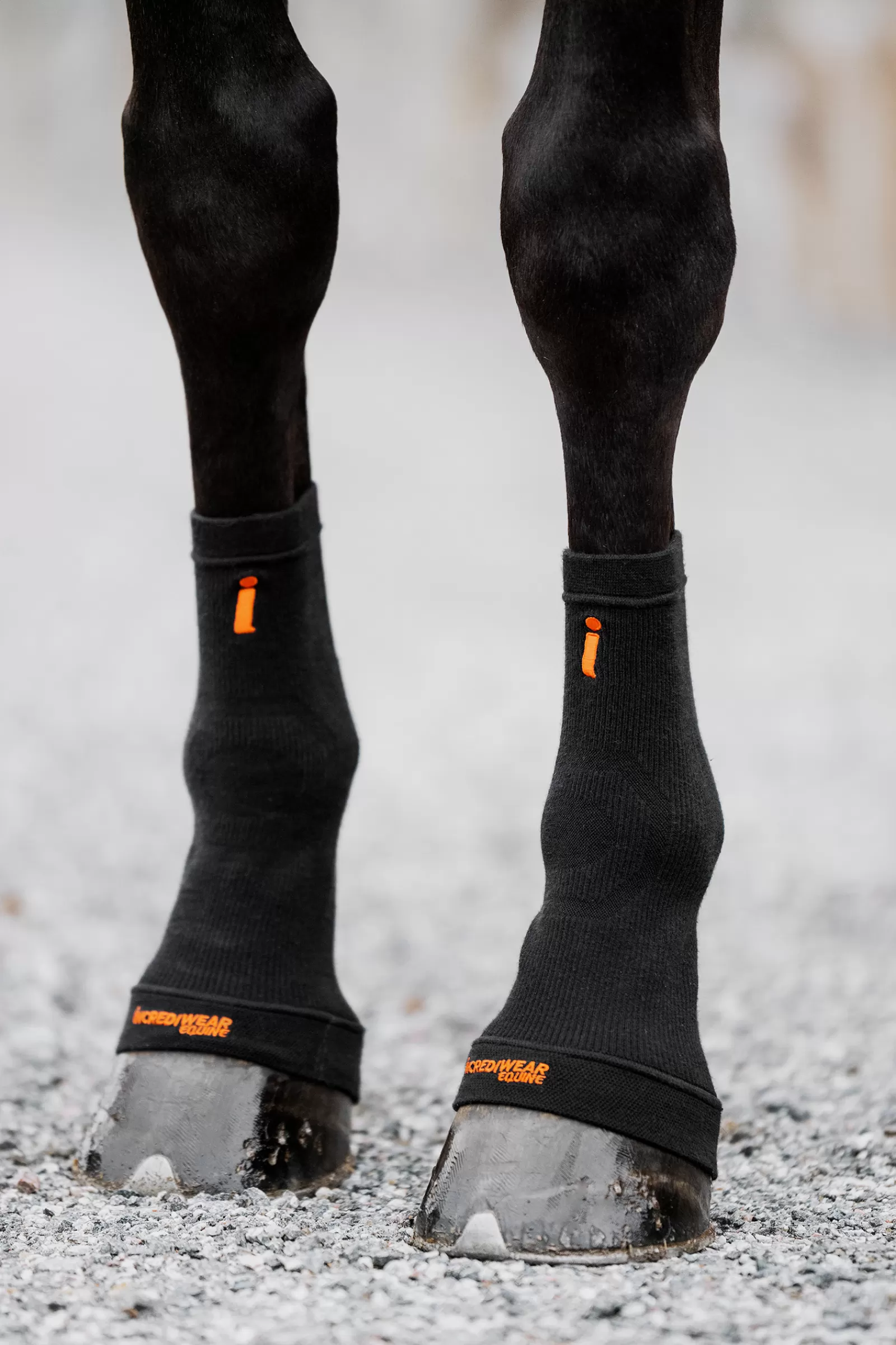 incrediwear Circulation Hoof Socks- Hoefschoenen