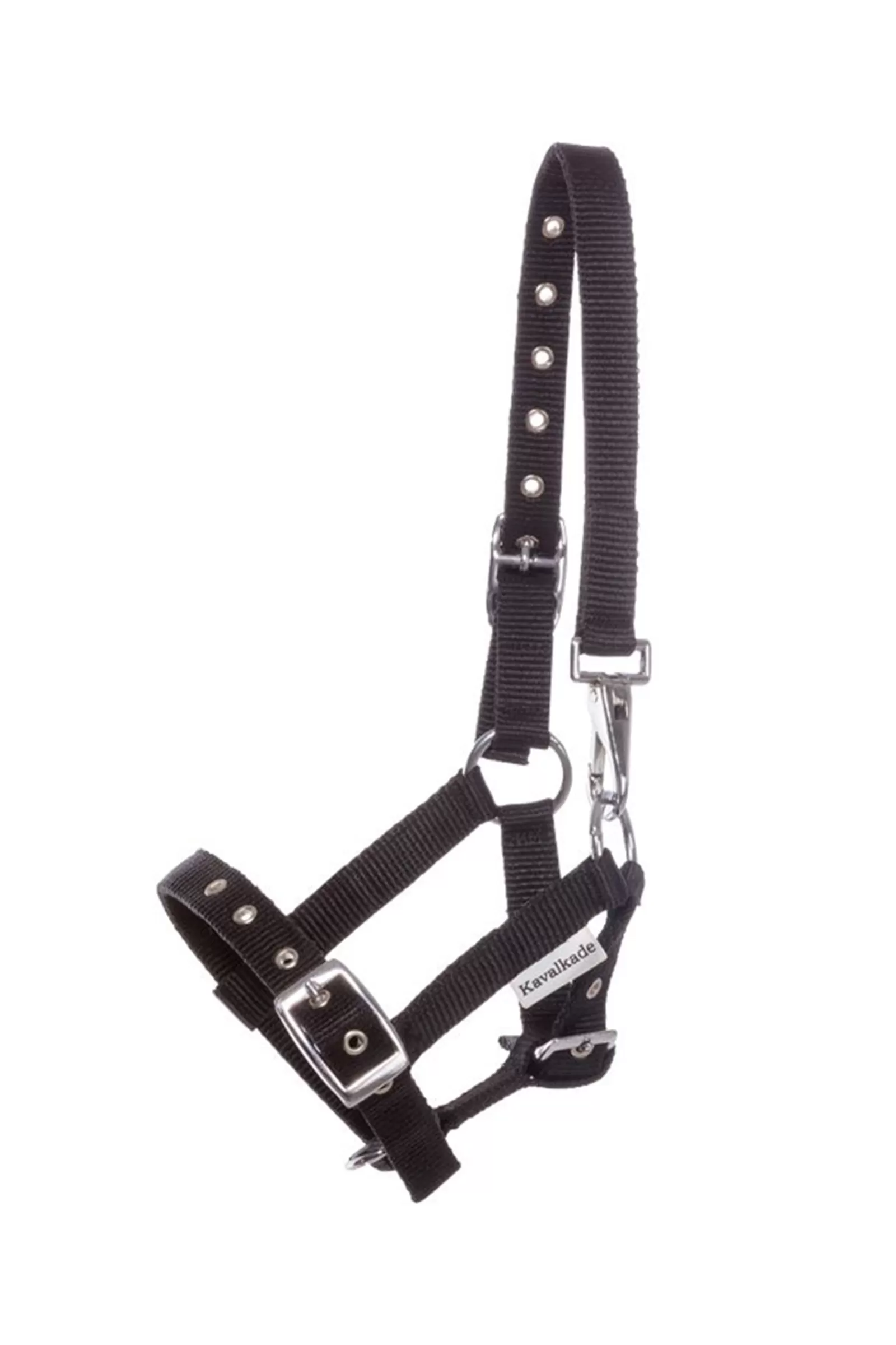 kavalkade Foal & Yearling Halter- Halsters