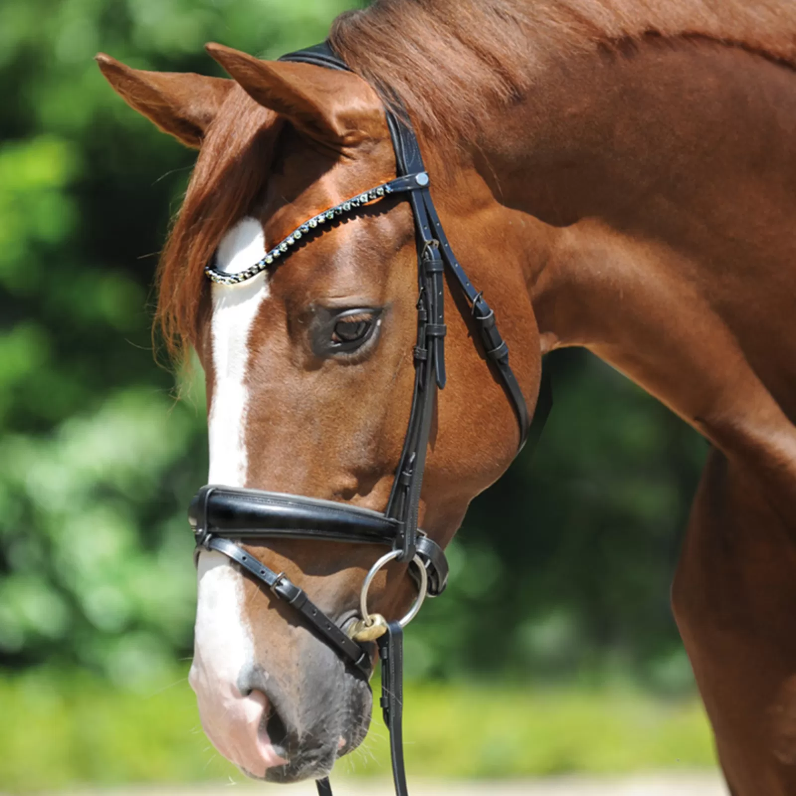 Best Sale kavalkade Grey Bridle Black/Gray