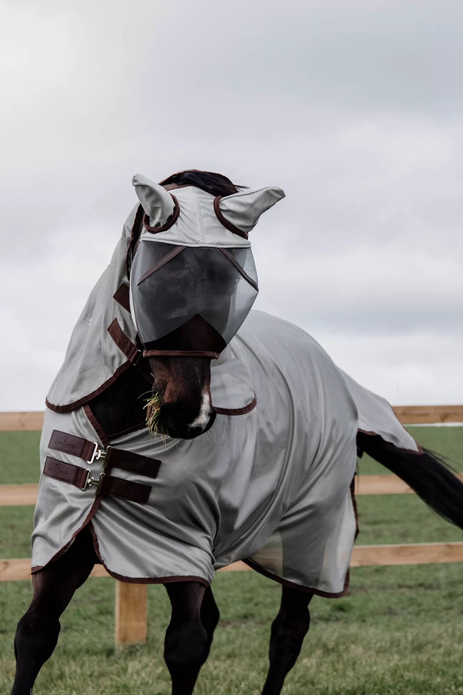 kentucky Horsewear Classic Vliegendeken- Vliegendekens