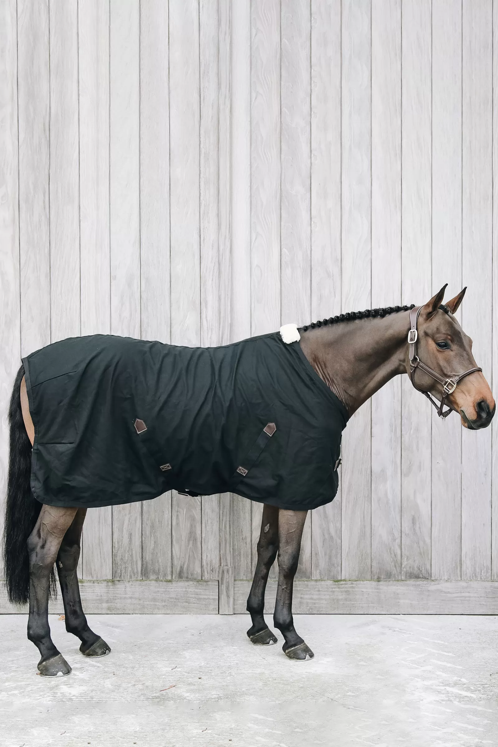 kentucky Horsewear Cotton Sheet- Zweetdekens & Fleecedekens