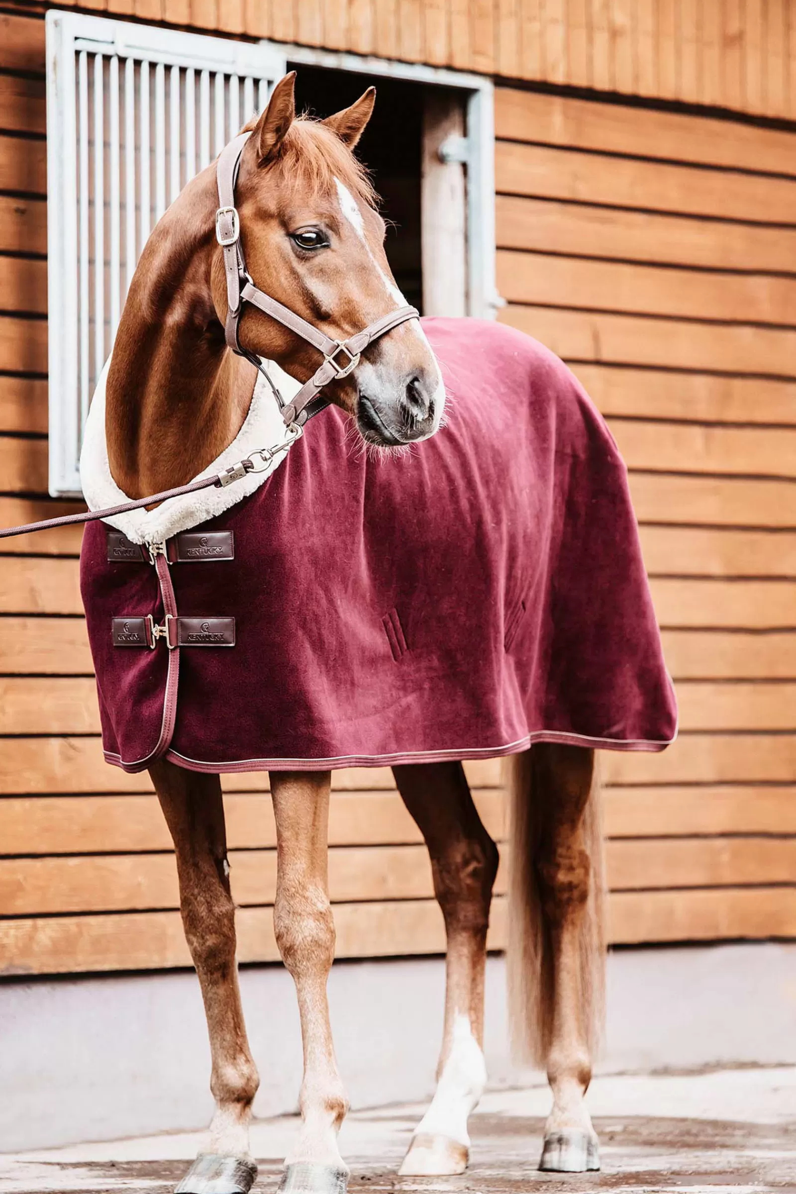 kentucky Horsewear Fleece Zware Showdeken- Zweetdekens & Fleecedekens